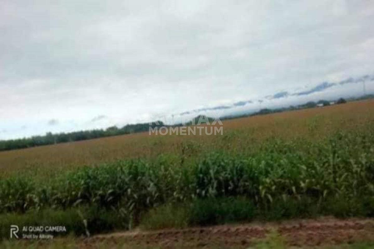Terreno en venta · Páez, Miranda