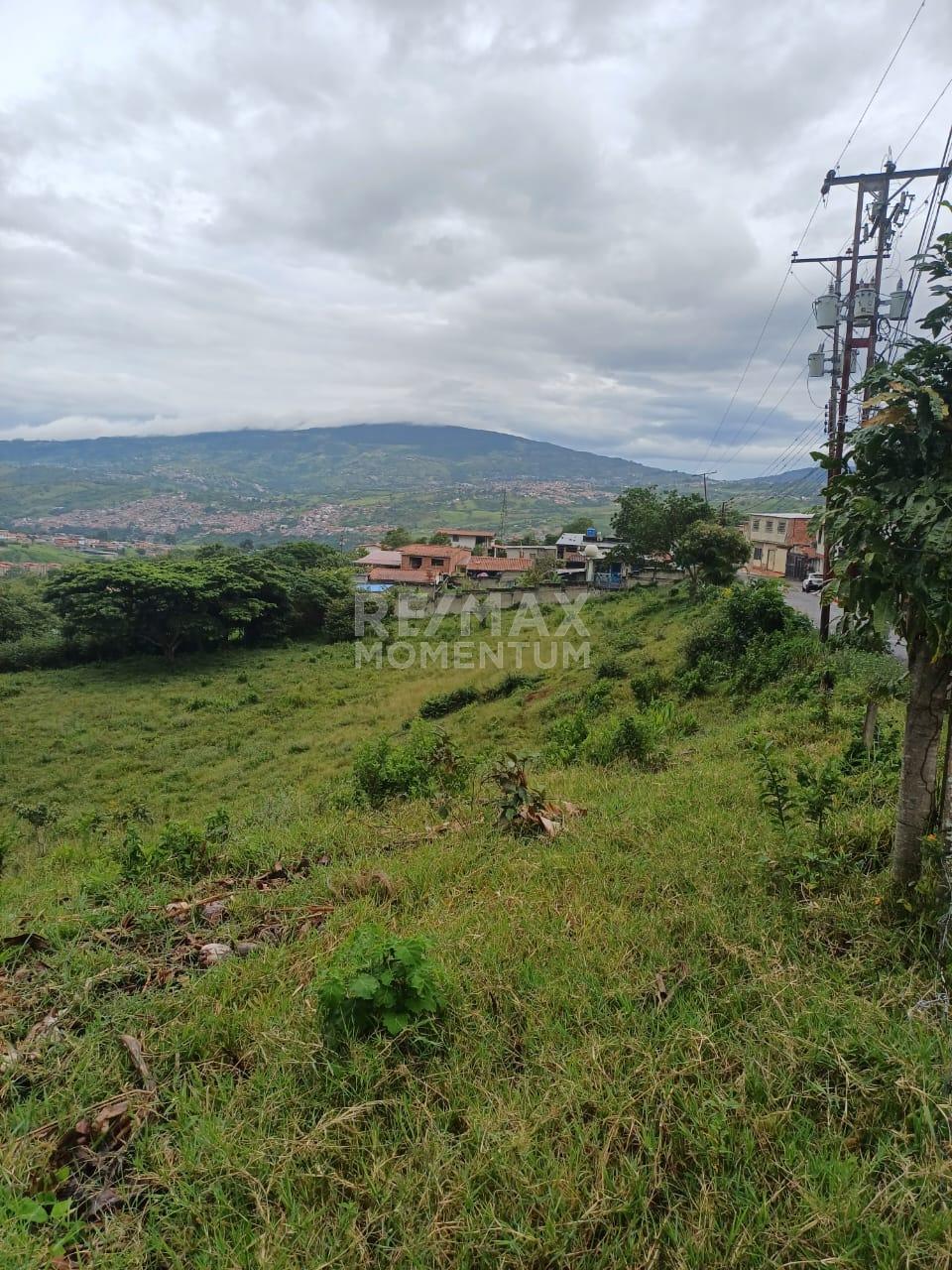 Terreno en venta · Cárdenas, Táchira — foto 4 de 5