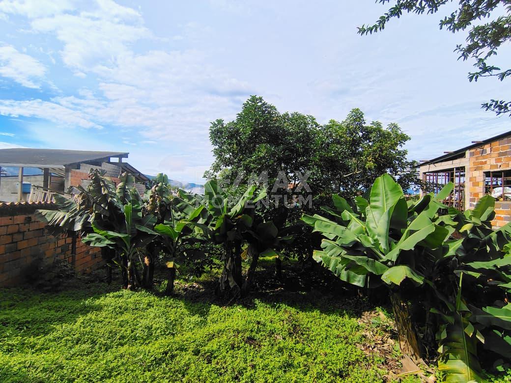Terreno en venta · Guásimos, Táchira — foto 3 de 10