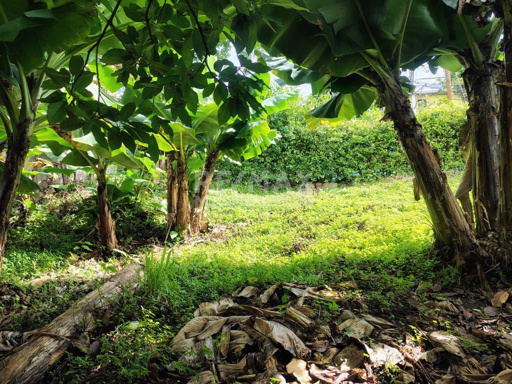 Terreno en venta · Guásimos, Táchira — foto 4 de 10