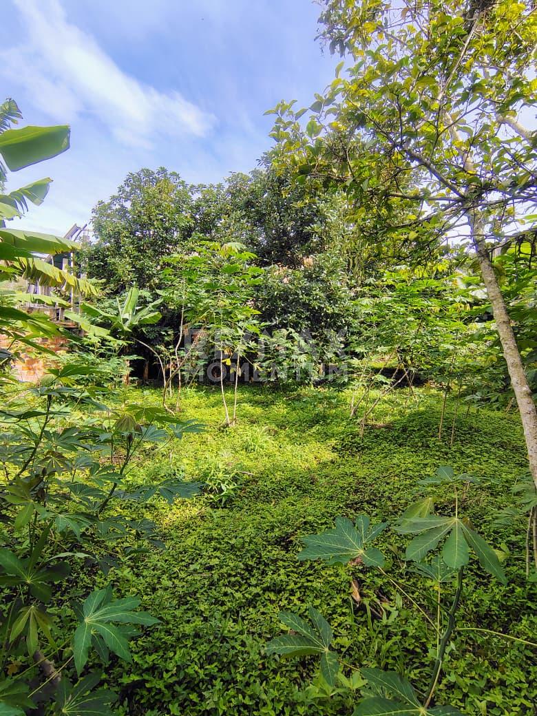 Terreno en venta · Guásimos, Táchira — foto 6 de 10