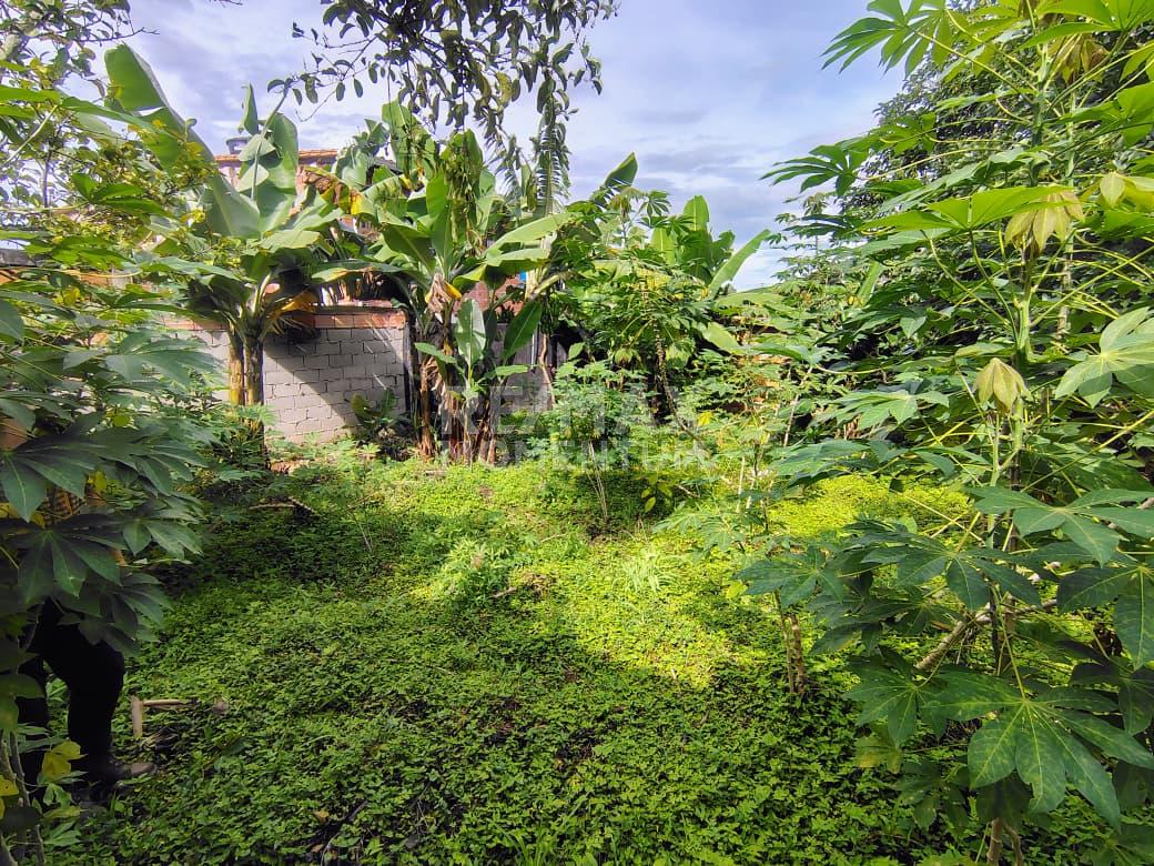 Terreno en venta · Guásimos, Táchira — foto 7 de 10
