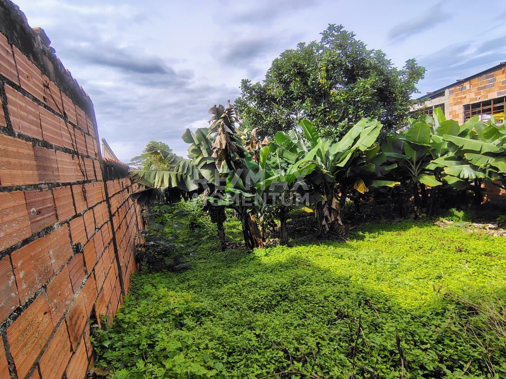 Terreno en venta · Guásimos, Táchira — foto 8 de 10