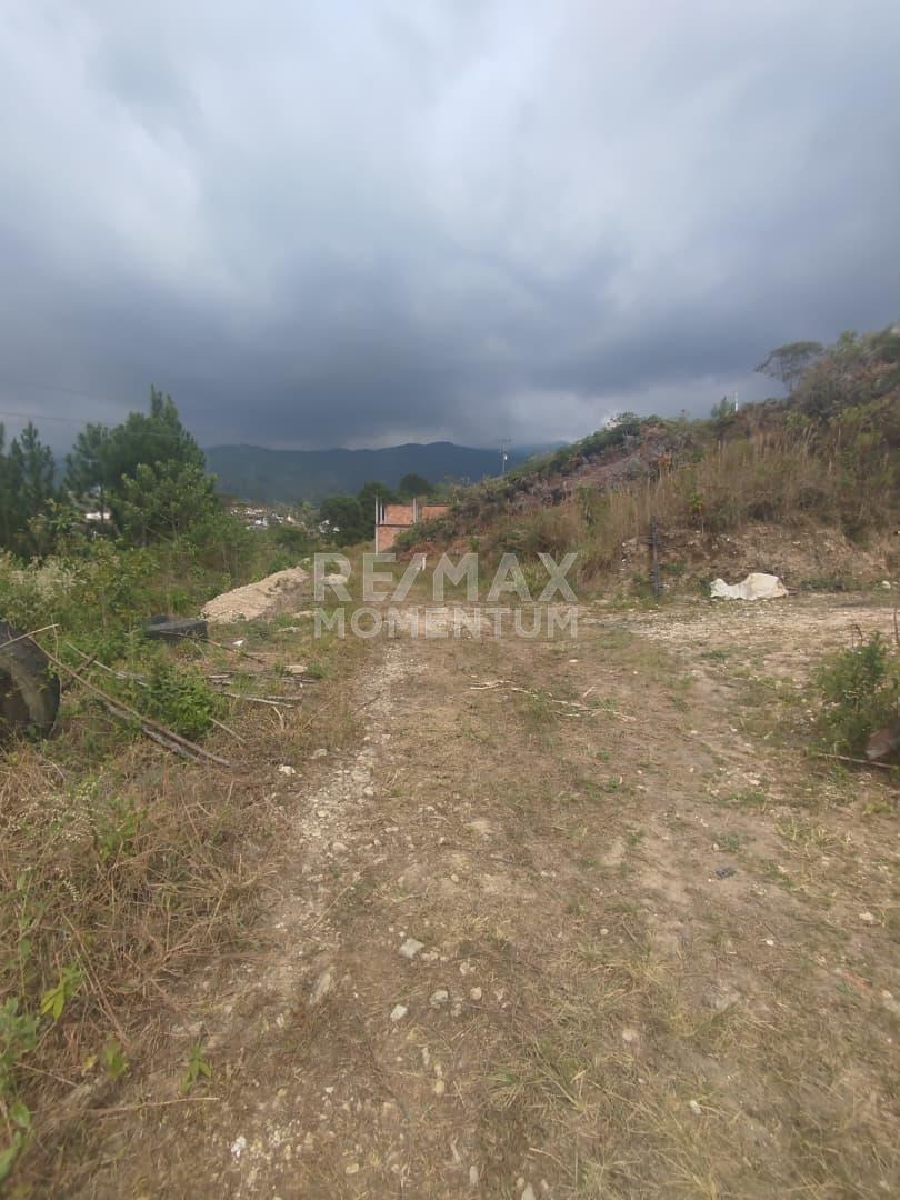 Terreno en venta · Cárdenas, Táchira — foto 2 de 6