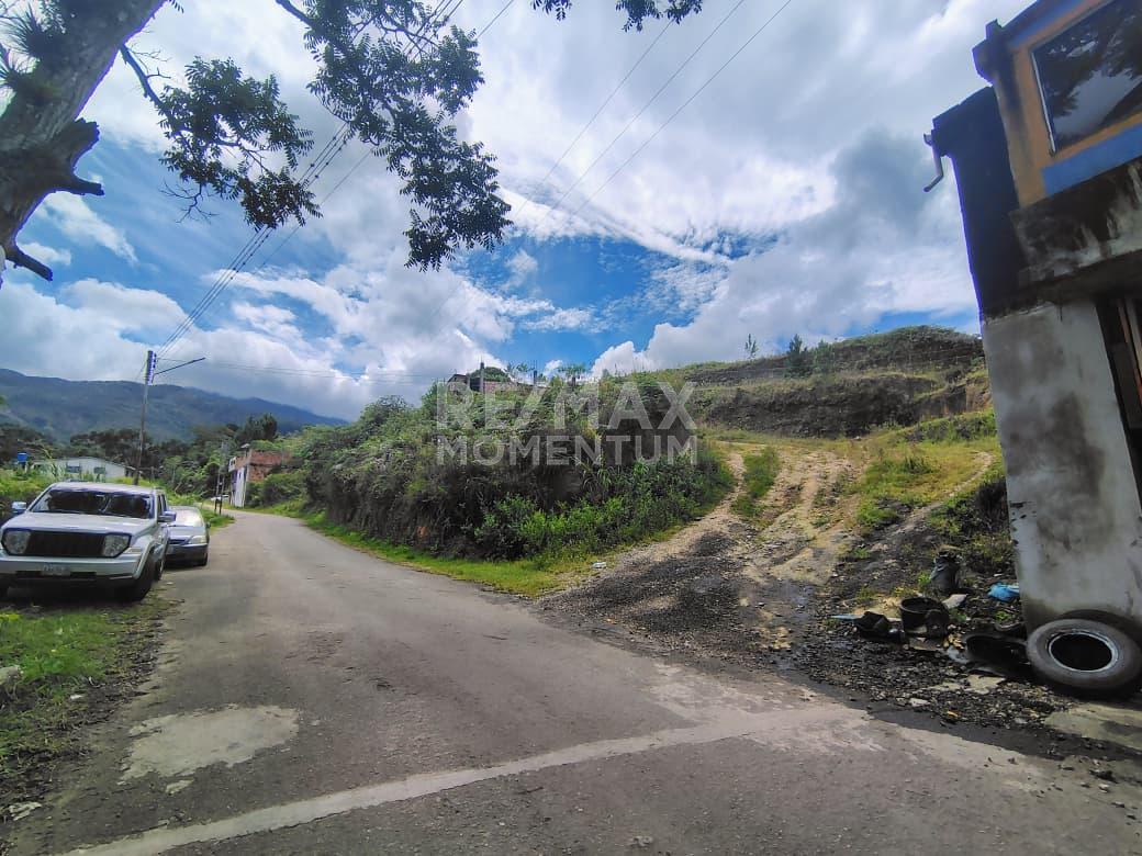 Terreno en venta · Cárdenas, Táchira — foto 3 de 6