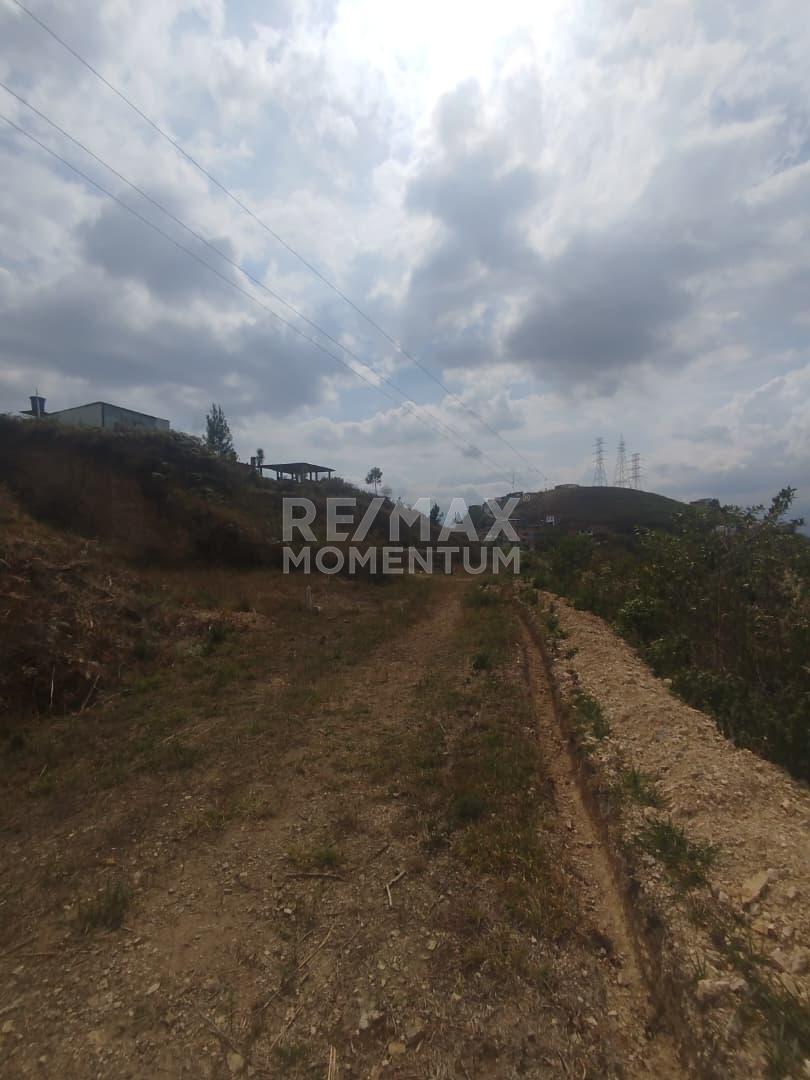 Terreno en venta · Cárdenas, Táchira — foto 4 de 6