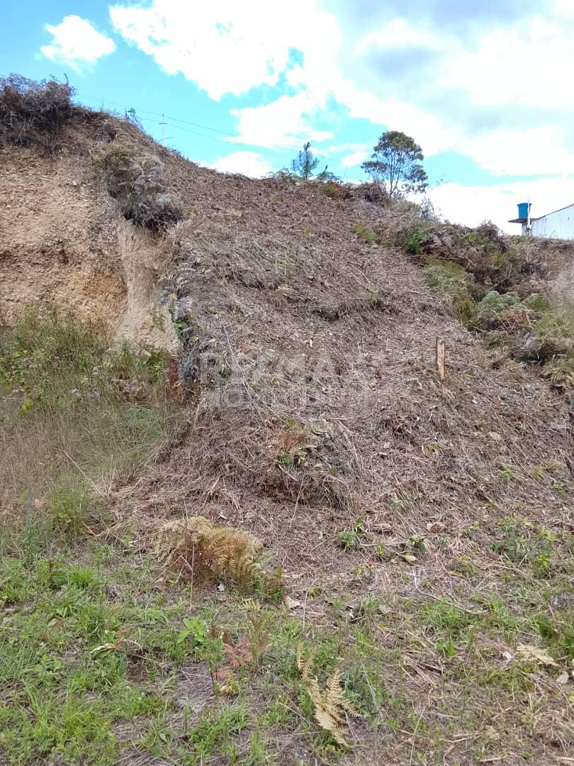 Terreno en venta · Cárdenas, Táchira — foto 5 de 6
