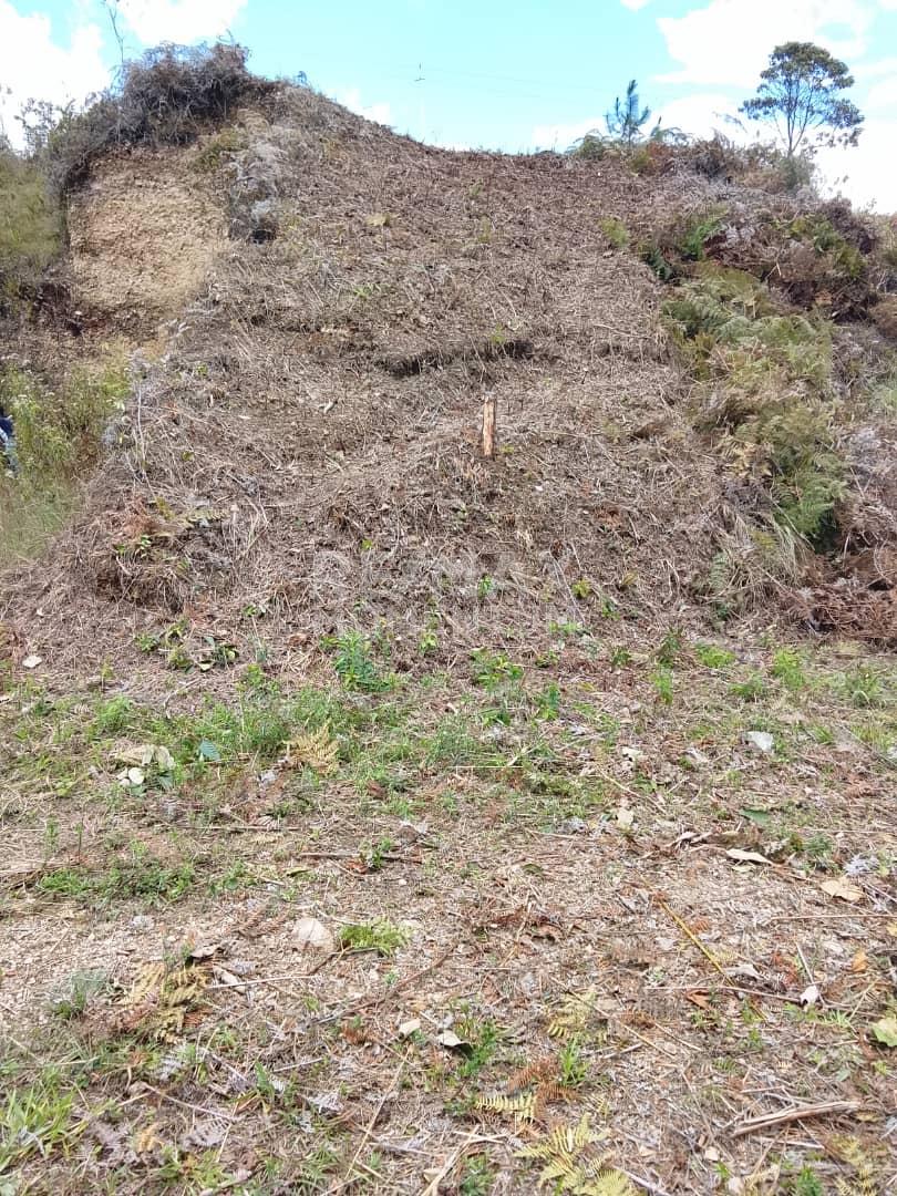 Terreno en venta · Cárdenas, Táchira — foto 6 de 6