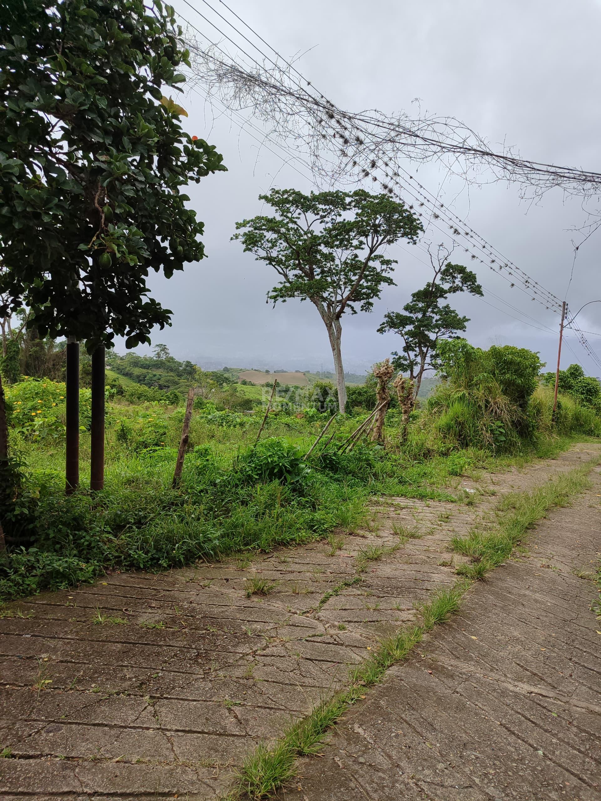 Terreno en venta · Independencia, Táchira — foto 5 de 6