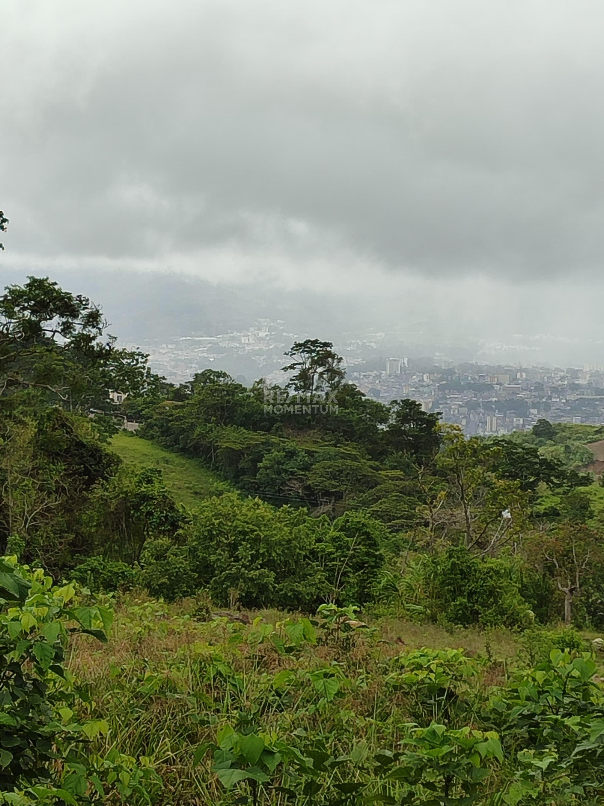 Terreno en venta · Independencia, Táchira — foto 6 de 6