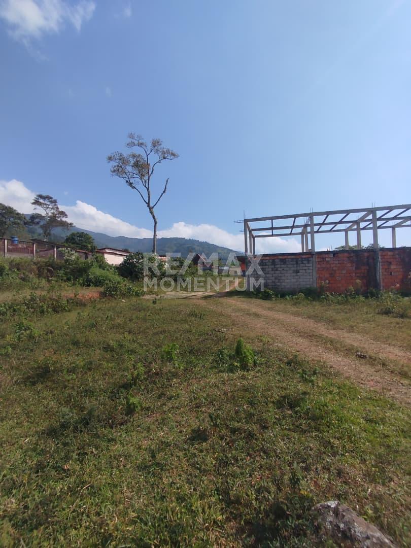 Terreno en venta · Cárdenas, Táchira — foto 5 de 9