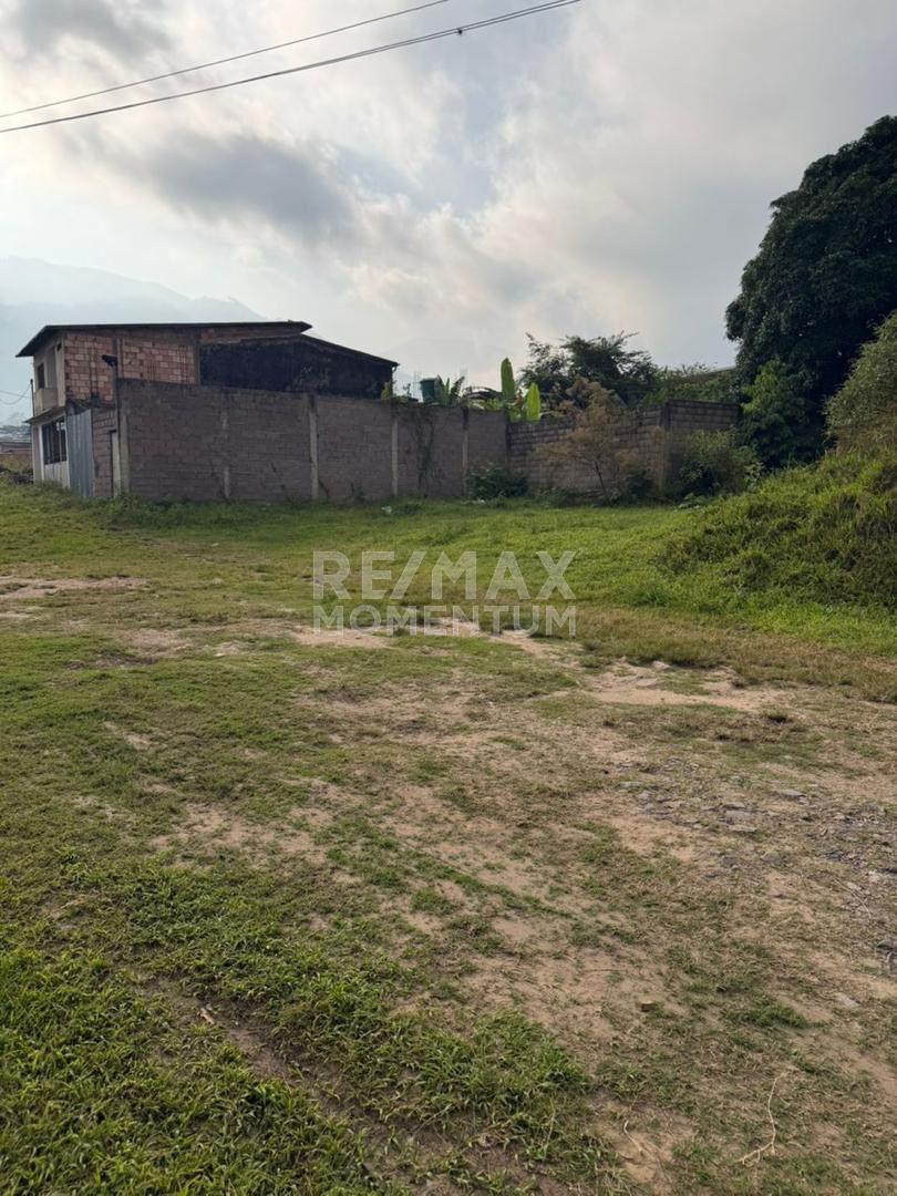 Terreno en venta · Colón, Táchira — foto 4 de 10