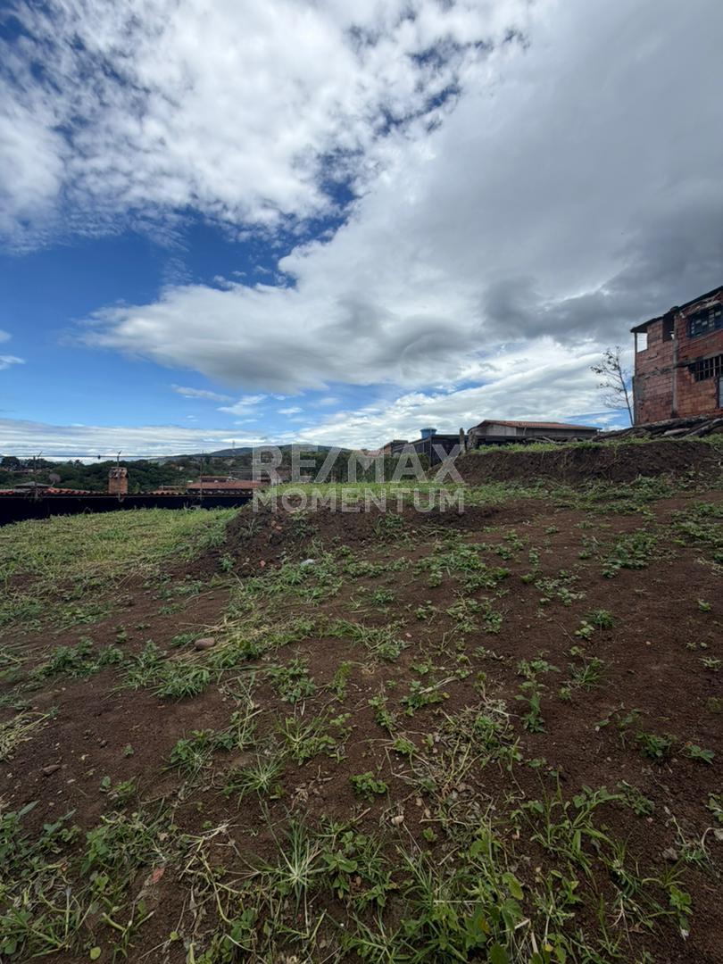 Terreno en venta · Cárdenas, Táchira — foto 2 de 3