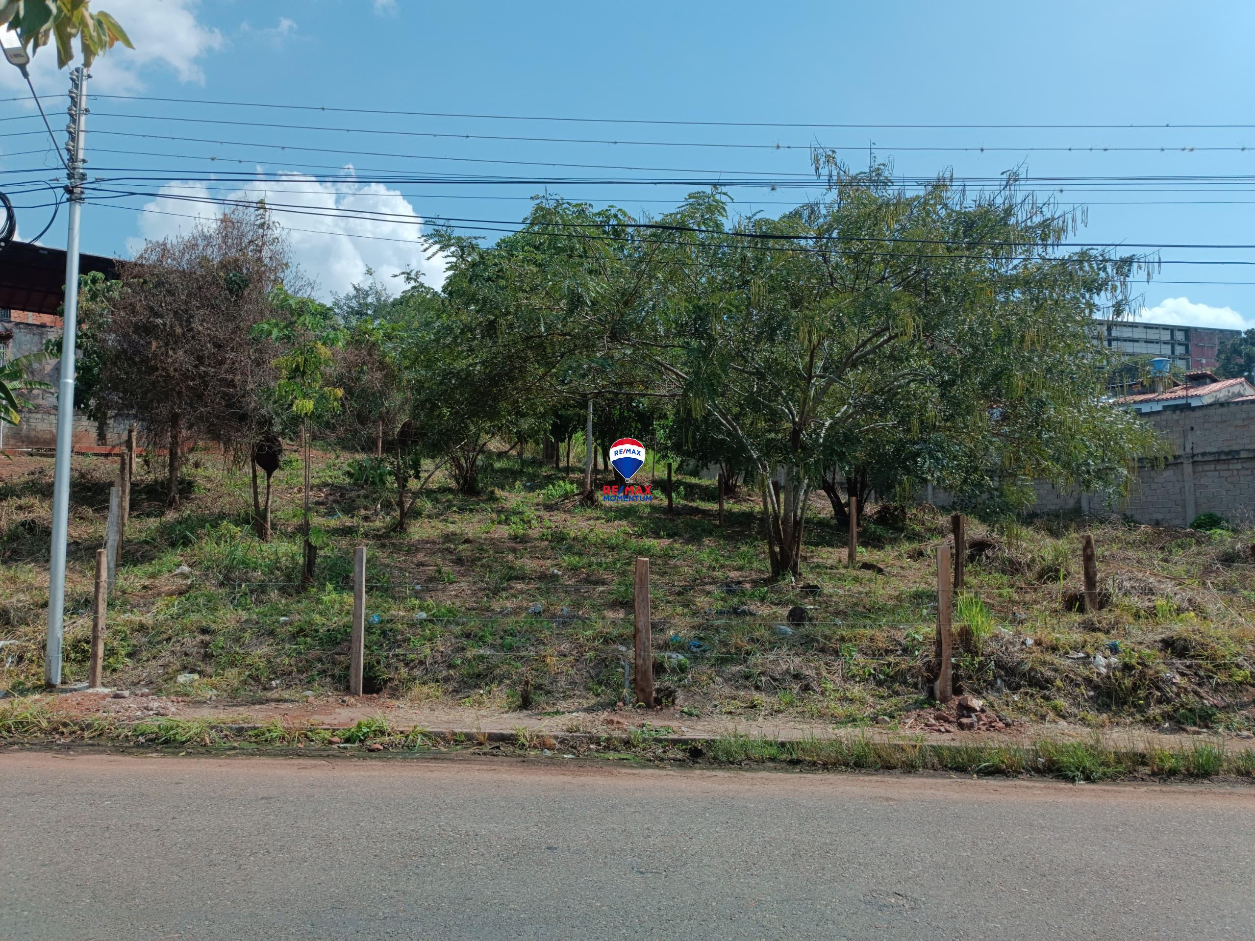 Terreno en venta · Pao de San Juan Bautista, Táchira — foto 2 de 5