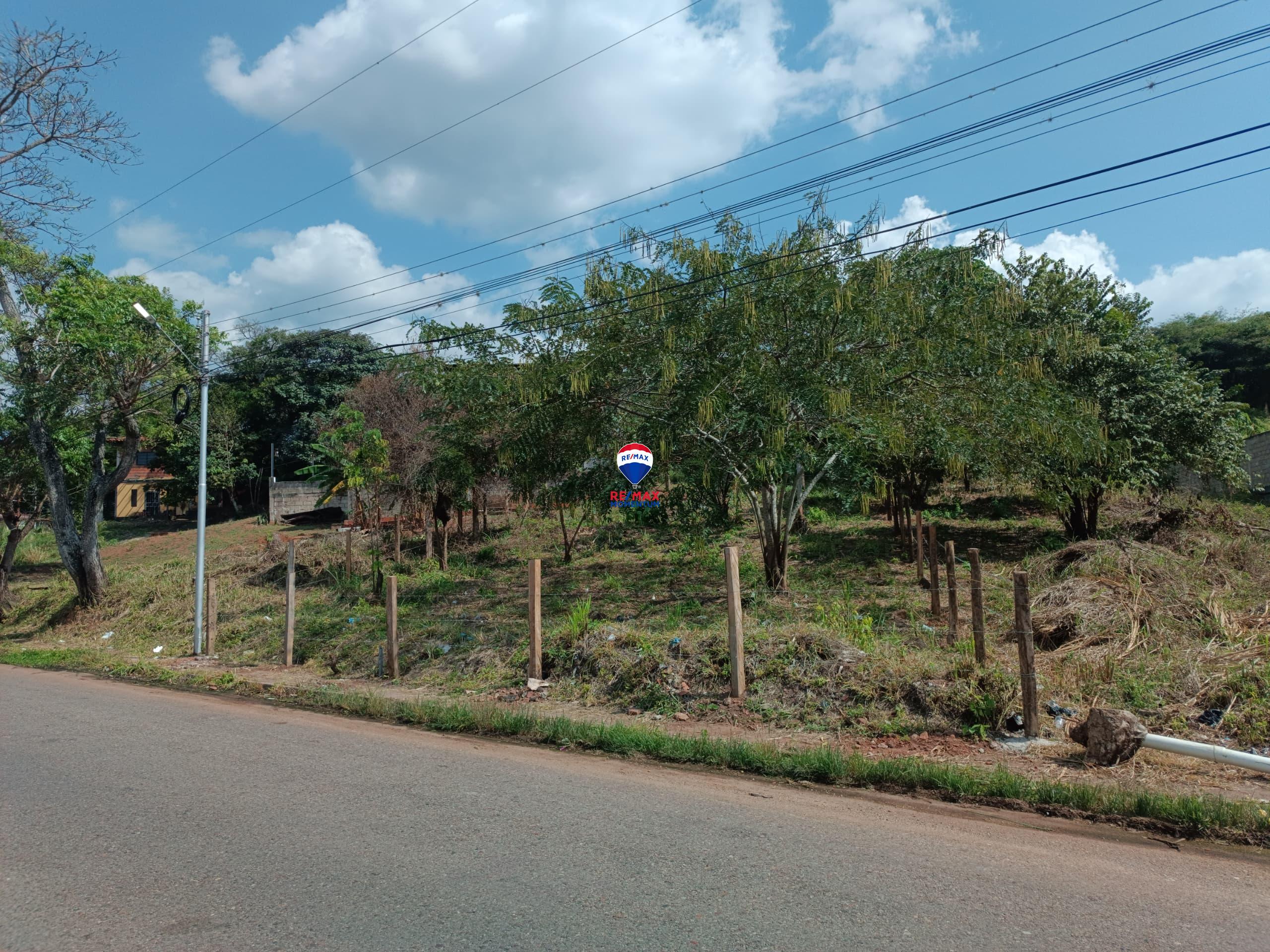 Terreno en venta · Pao de San Juan Bautista, Táchira — foto 3 de 5
