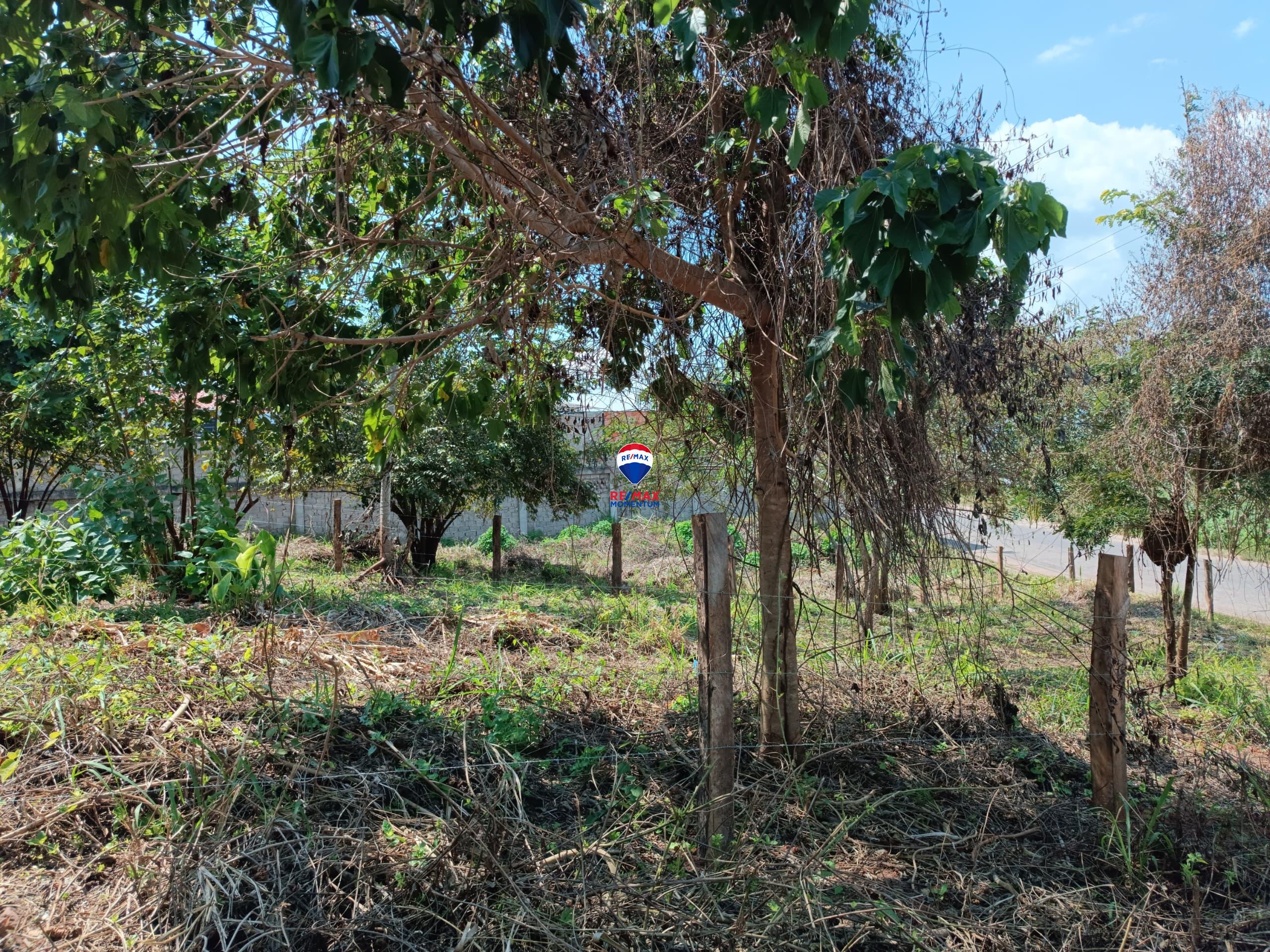 Terreno en venta · Pao de San Juan Bautista, Táchira — foto 5 de 5