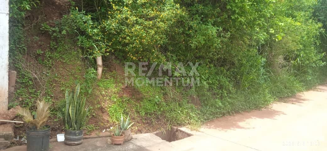 Terreno en venta · Cárdenas, Táchira — foto 2 de 2