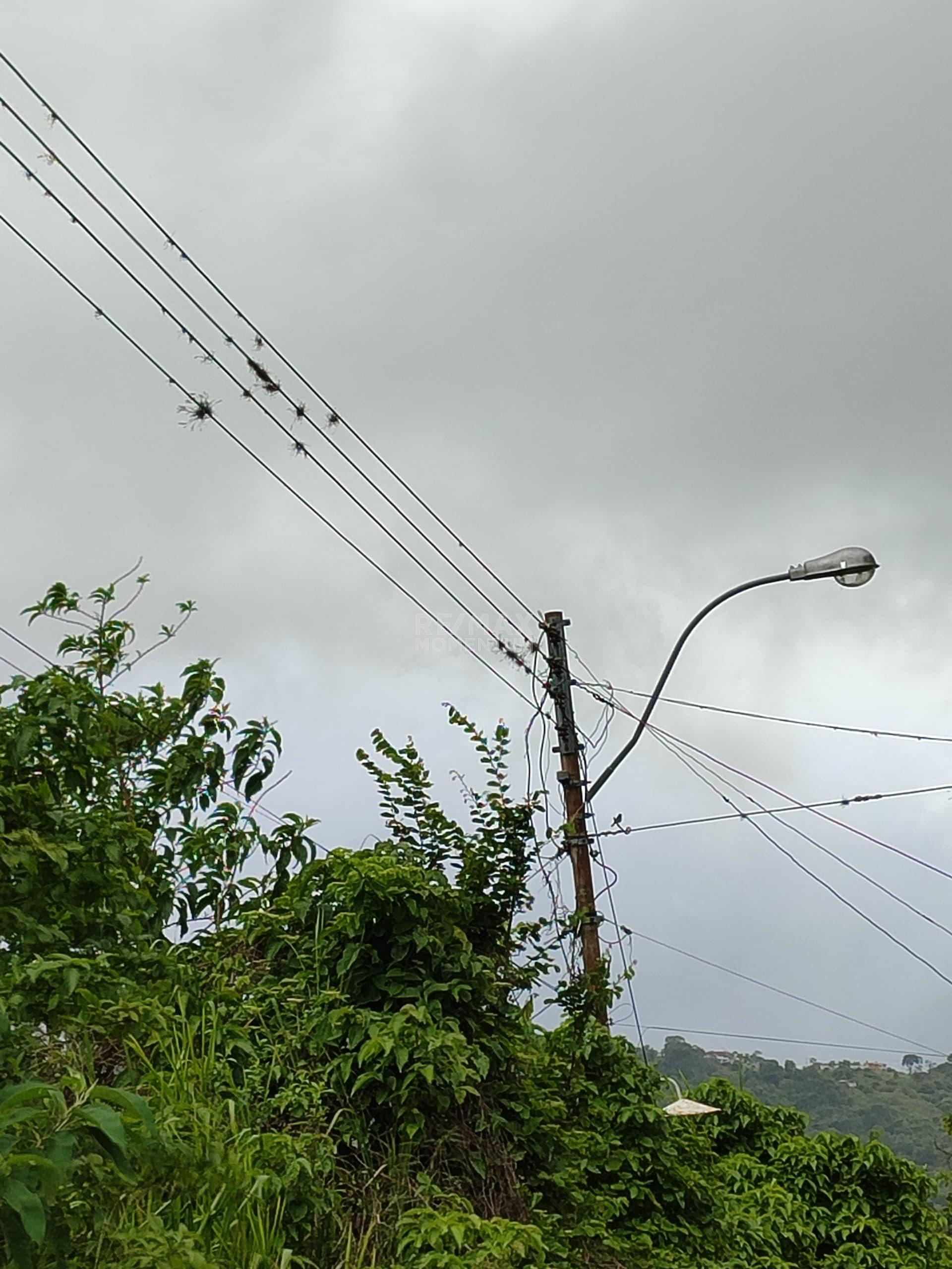 Terreno en venta · Independencia, Táchira — foto 2 de 3