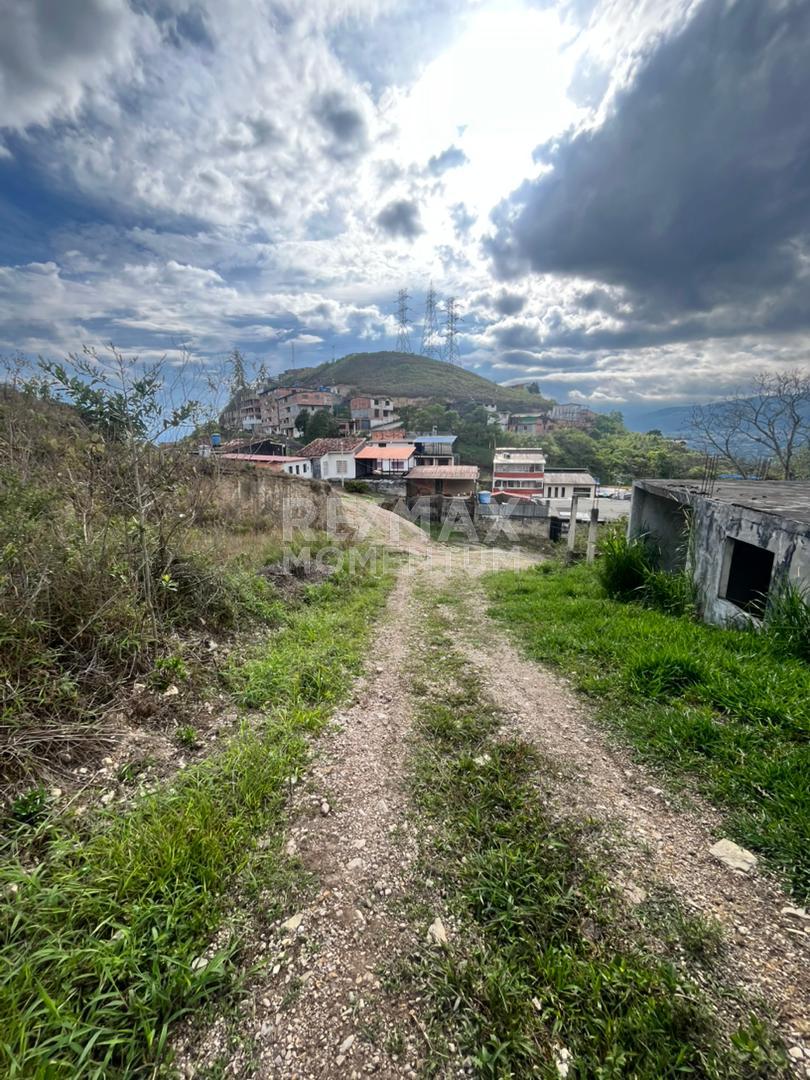 Terreno en venta · Cárdenas, Táchira — foto 2 de 5