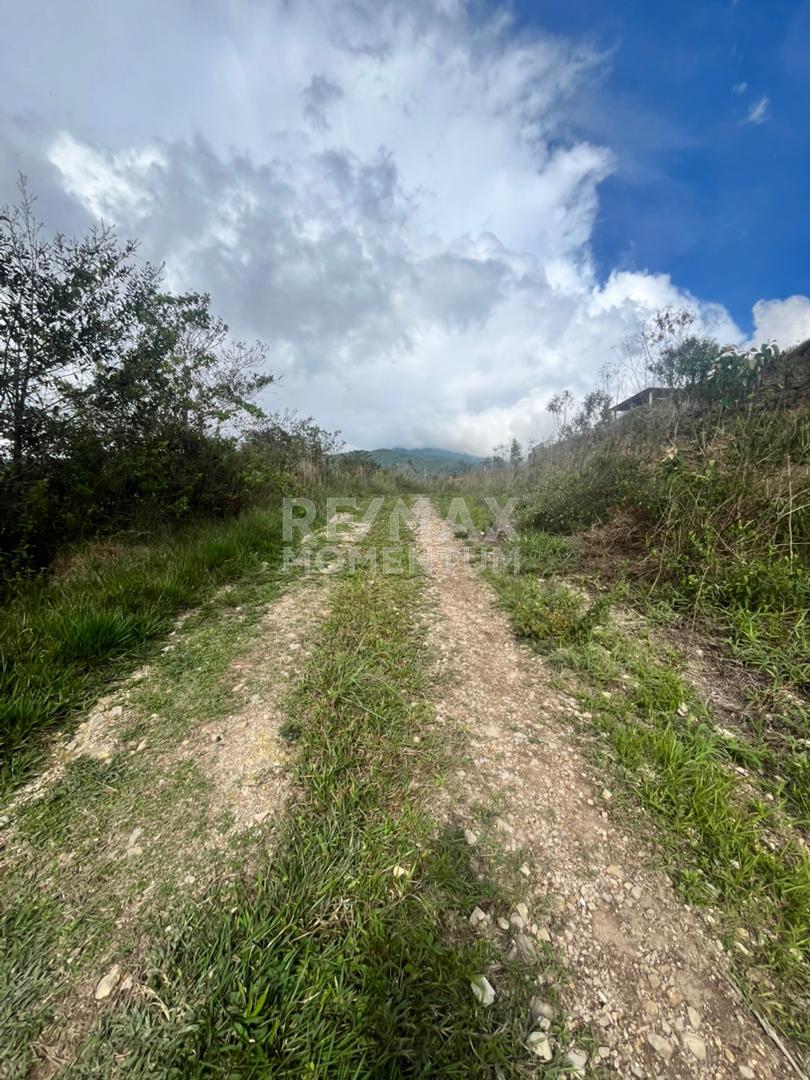 Terreno en venta · Cárdenas, Táchira — foto 3 de 5