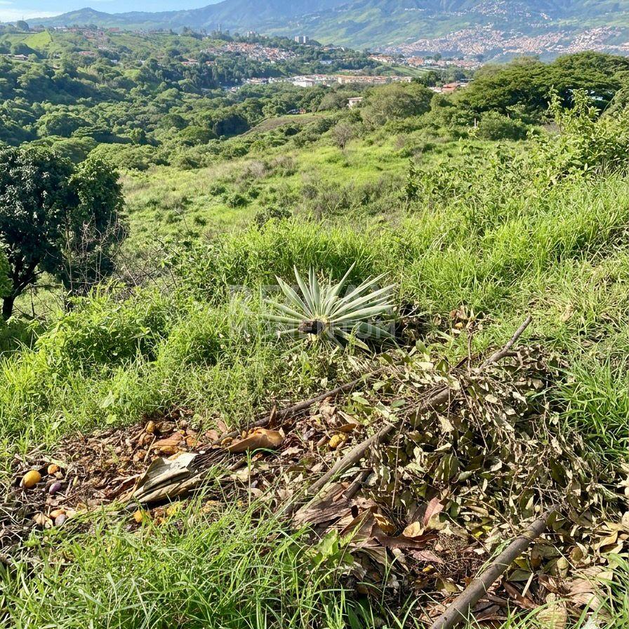 Terreno en venta · Cárdenas, Táchira — foto 4 de 4