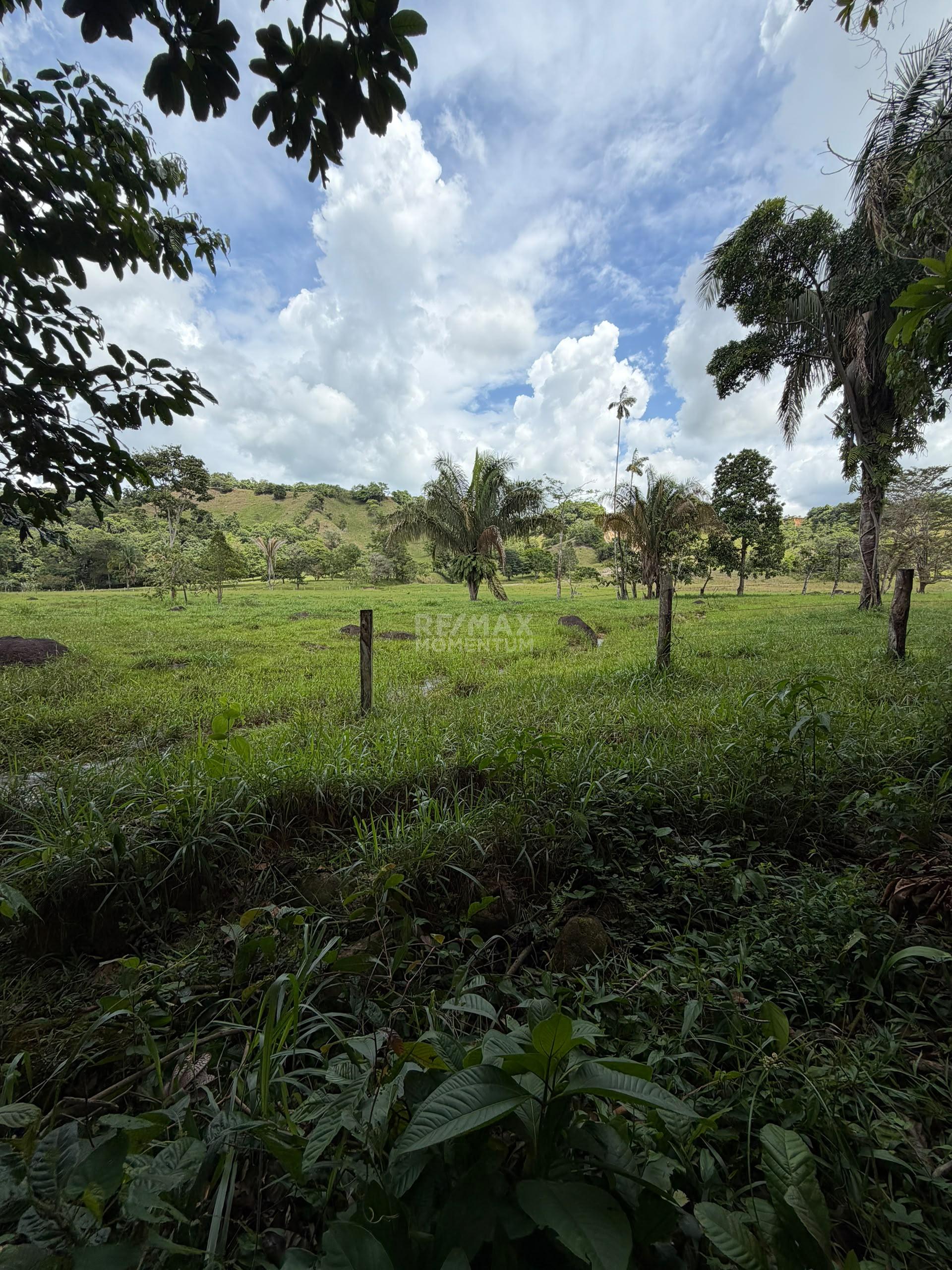 Inmueble en venta · Fernández Feo, Táchira — foto 2 de 10