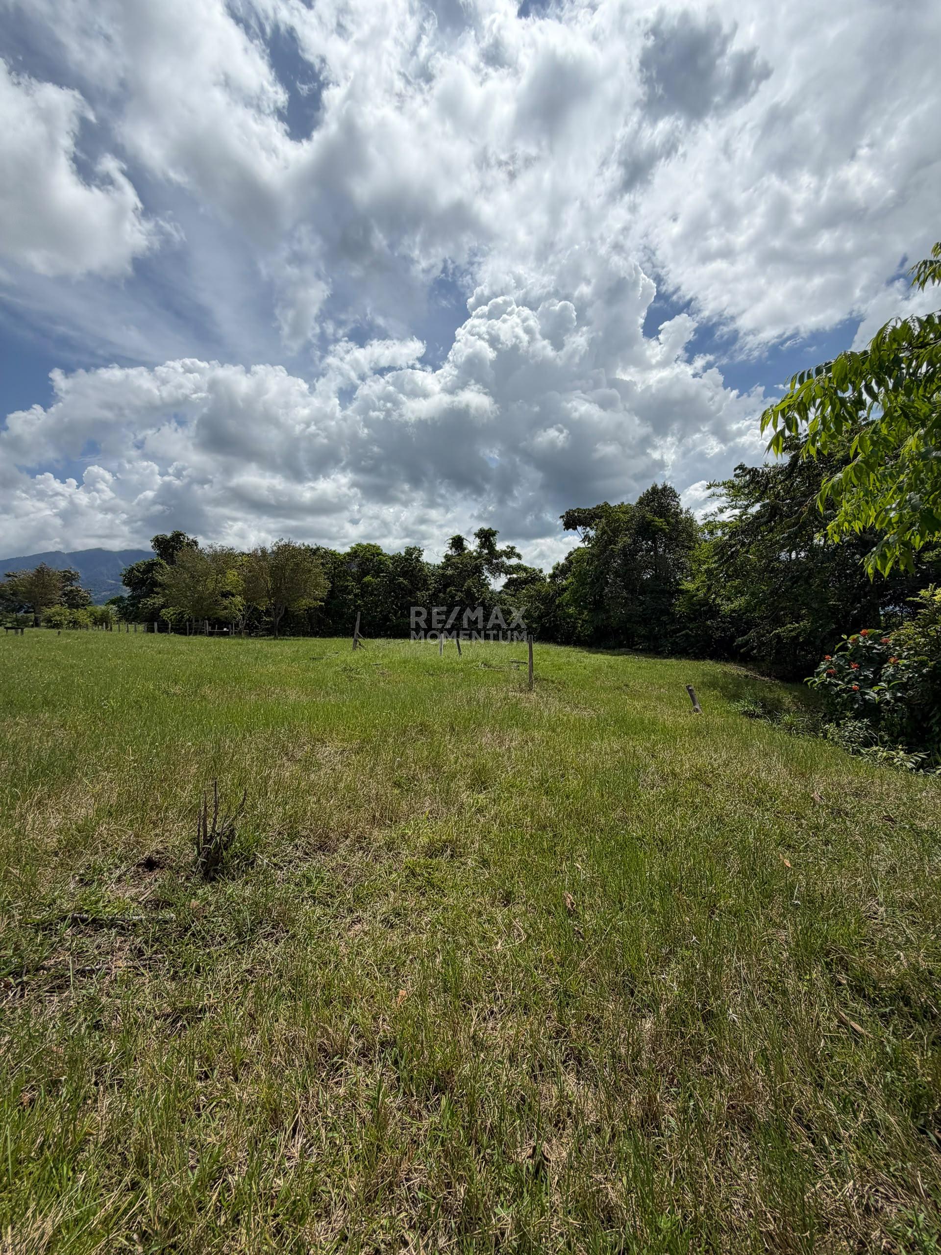 Inmueble en venta · Fernández Feo, Táchira — foto 3 de 10