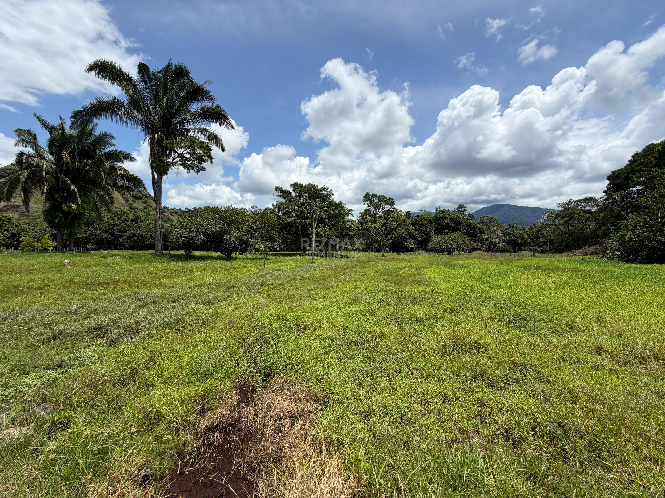Inmueble en venta · Fernández Feo, Táchira — foto 4 de 10