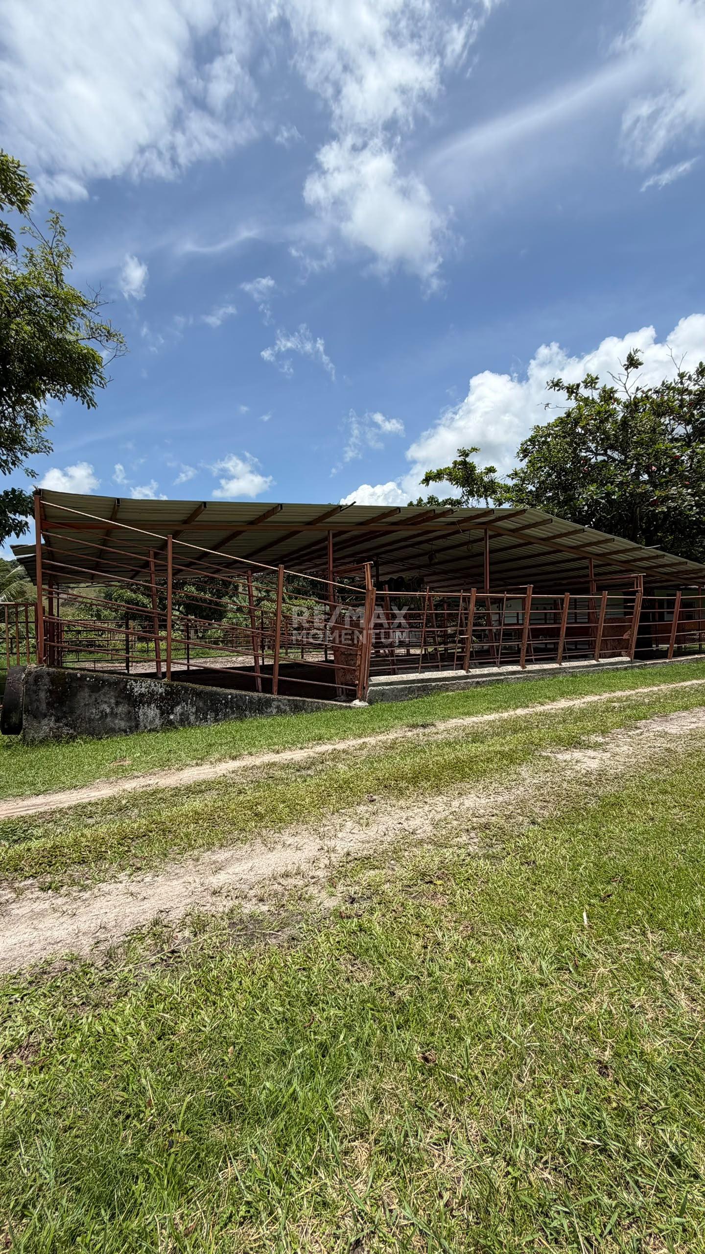 Inmueble en venta · Fernández Feo, Táchira — foto 6 de 10