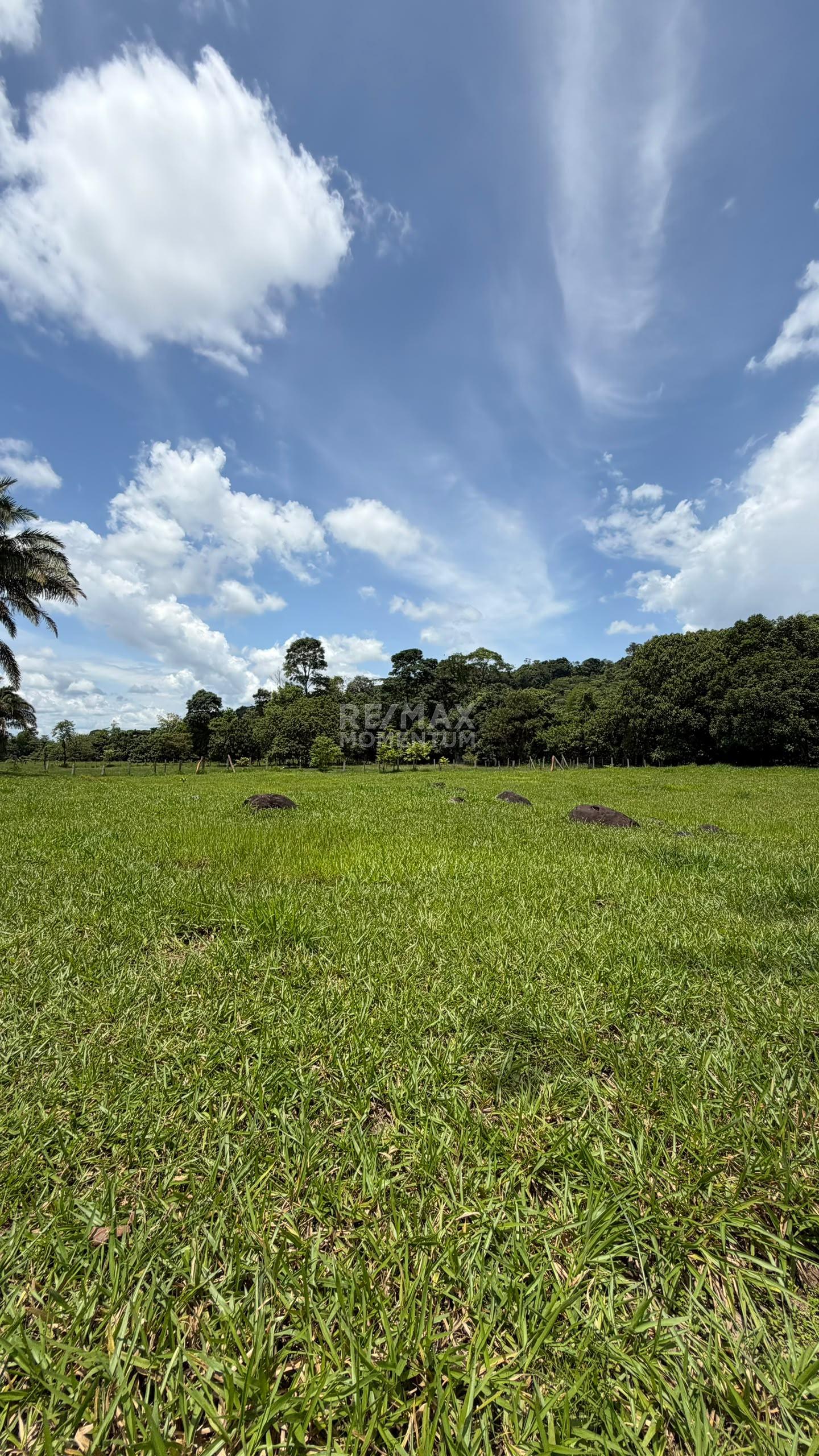 Inmueble en venta · Fernández Feo, Táchira — foto 10 de 10