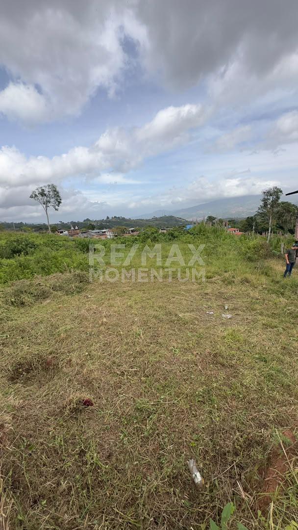 Terreno en venta · Cárdenas, Táchira — foto 3 de 10