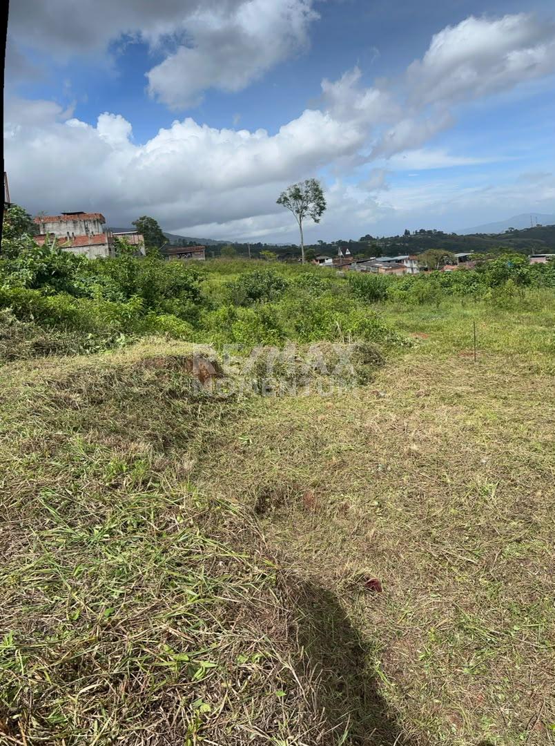 Terreno en venta · Cárdenas, Táchira — foto 4 de 10