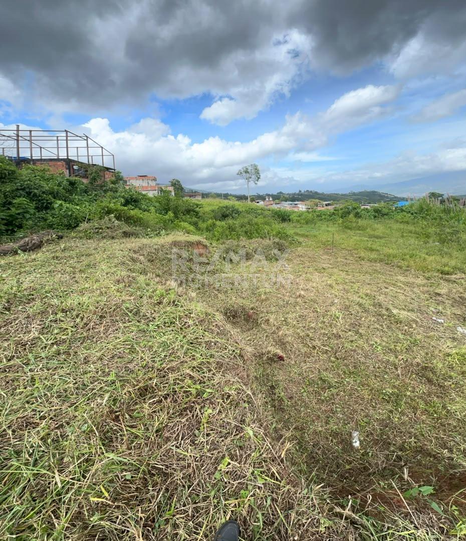 Terreno en venta · Cárdenas, Táchira — foto 5 de 10