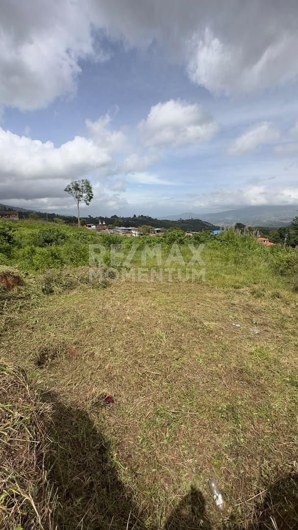 Terreno en venta · Cárdenas, Táchira — foto 8 de 10