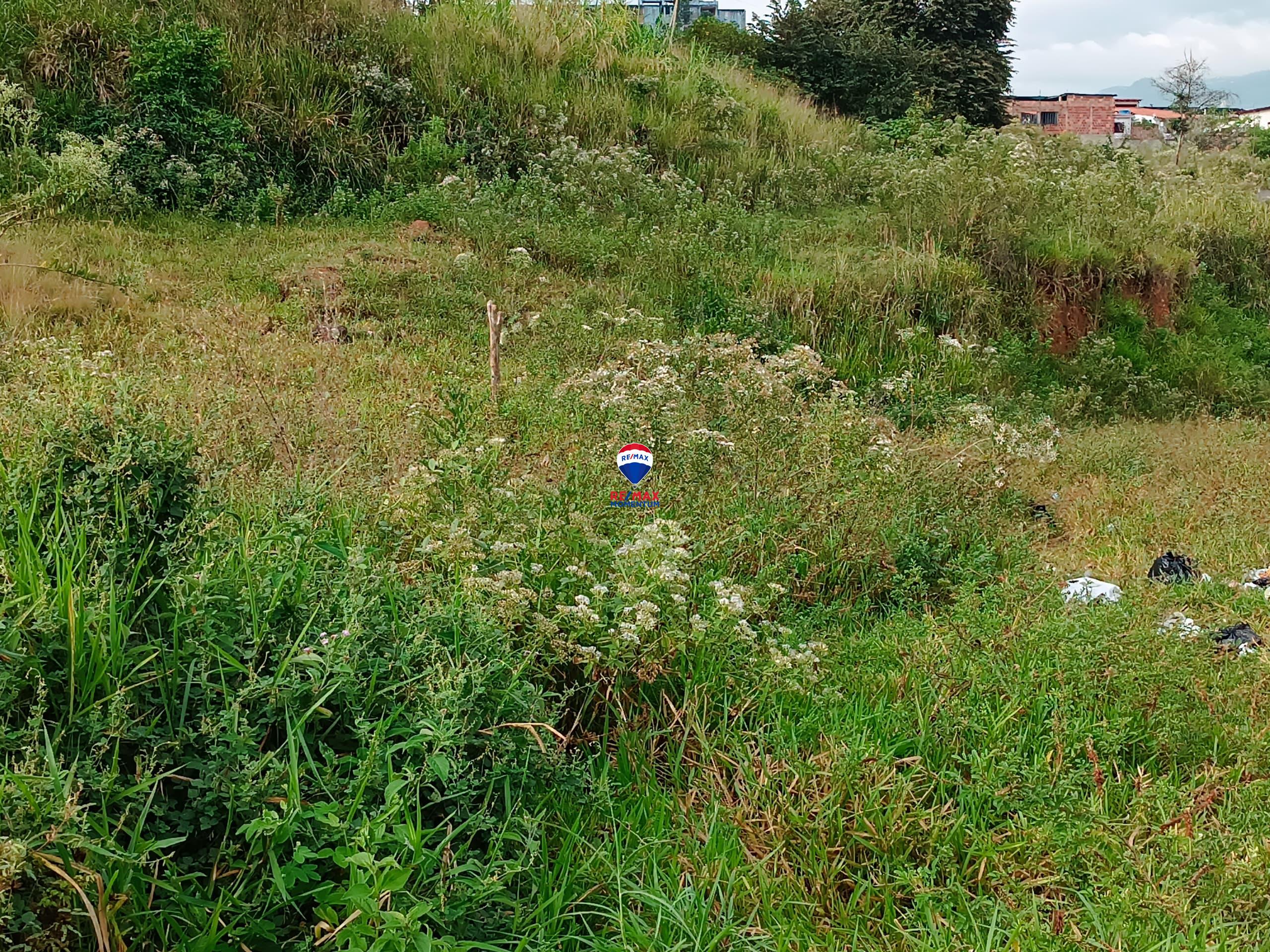 Terreno en venta · Libertad, Táchira — foto 2 de 3