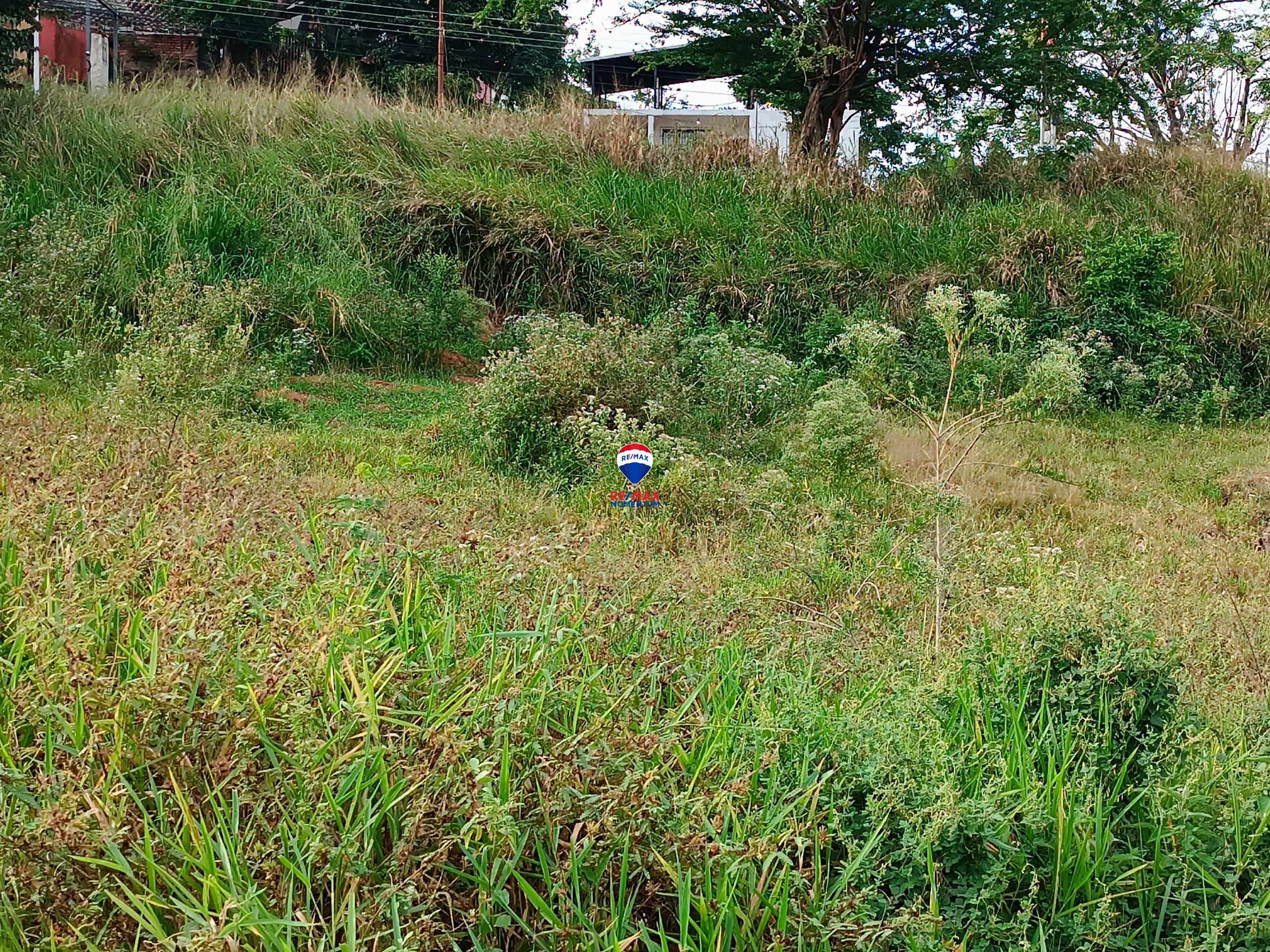 Terreno en venta · Libertad, Táchira — foto 3 de 3