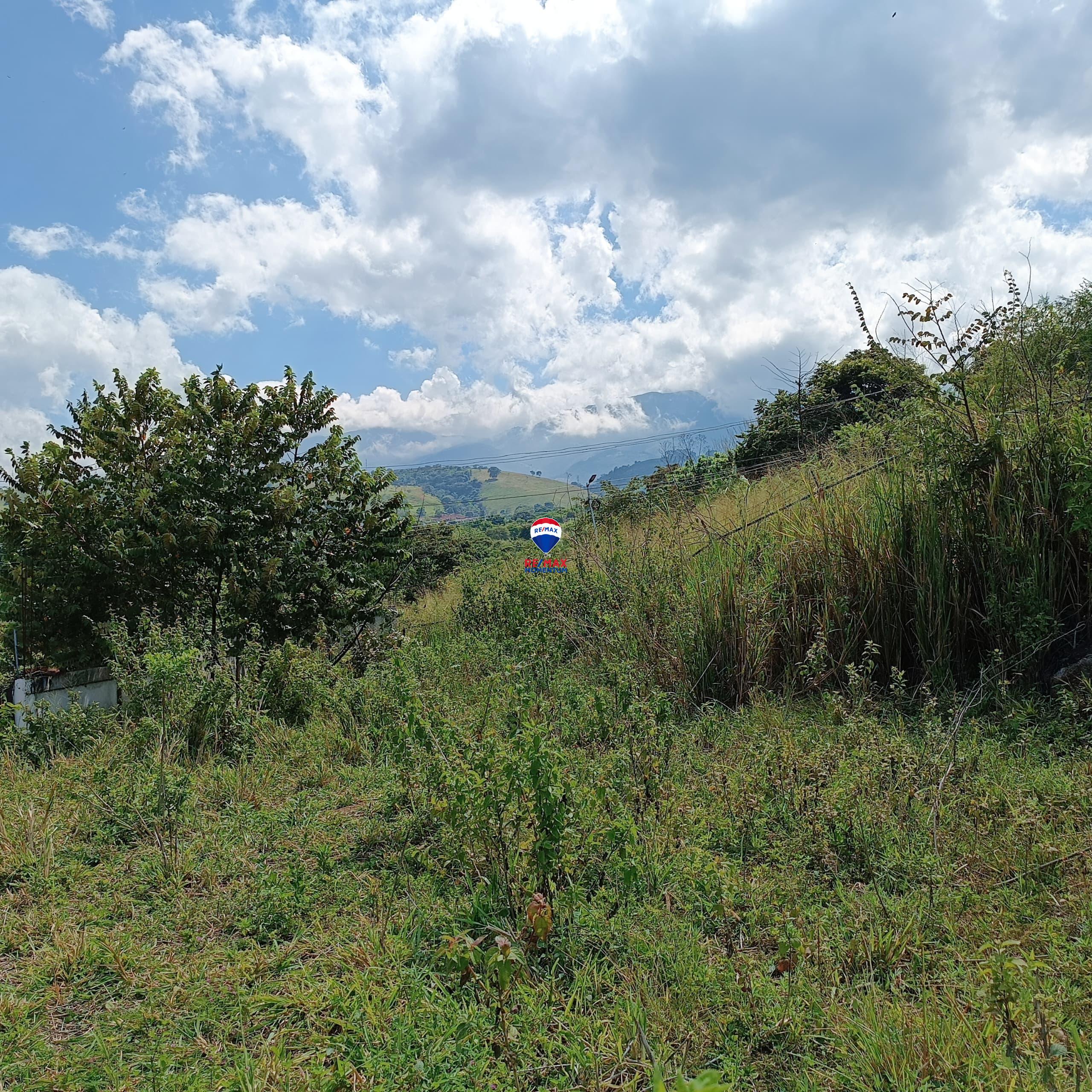 Terreno en venta · Cárdenas, Táchira — foto 2 de 9