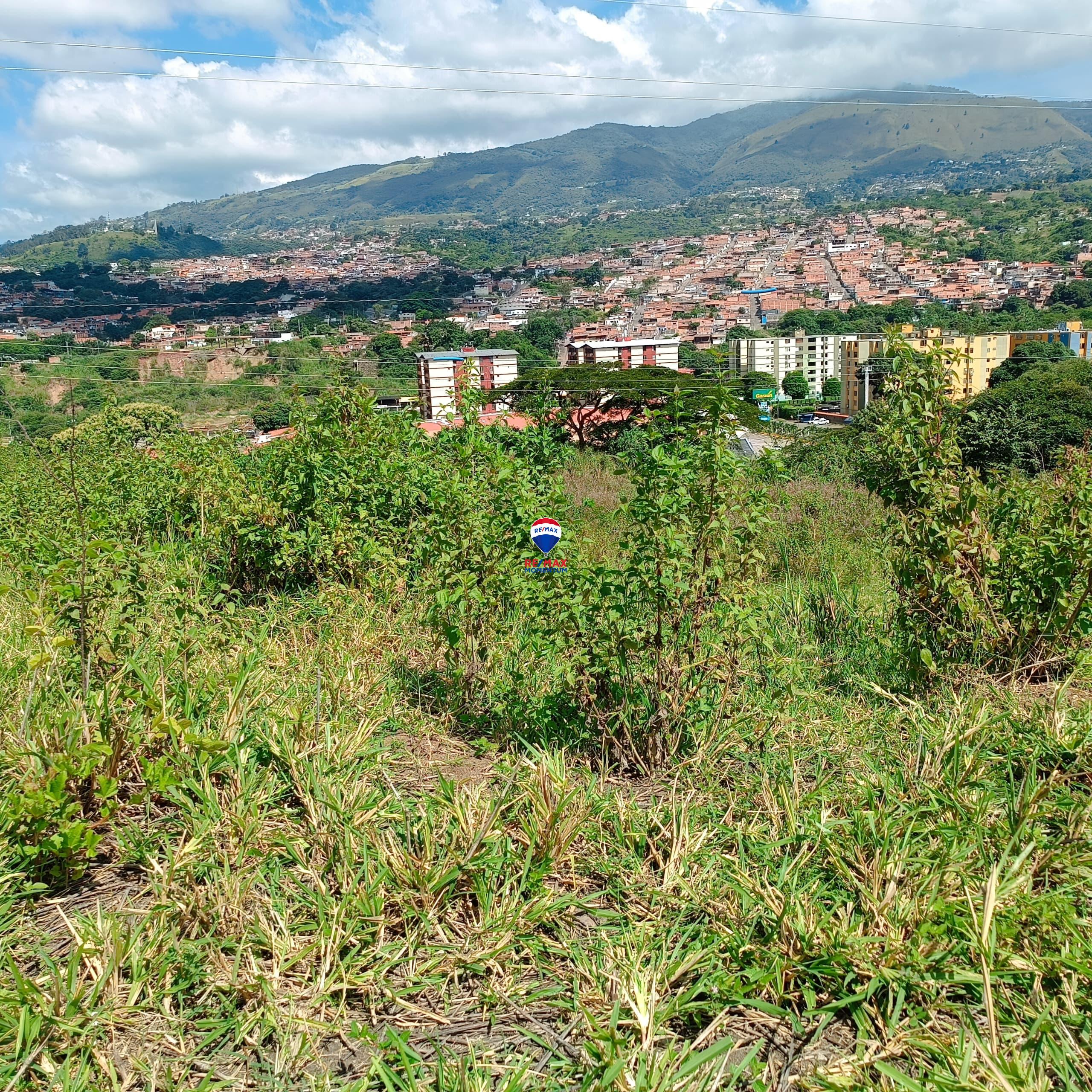 Terreno en venta · Cárdenas, Táchira — foto 3 de 9