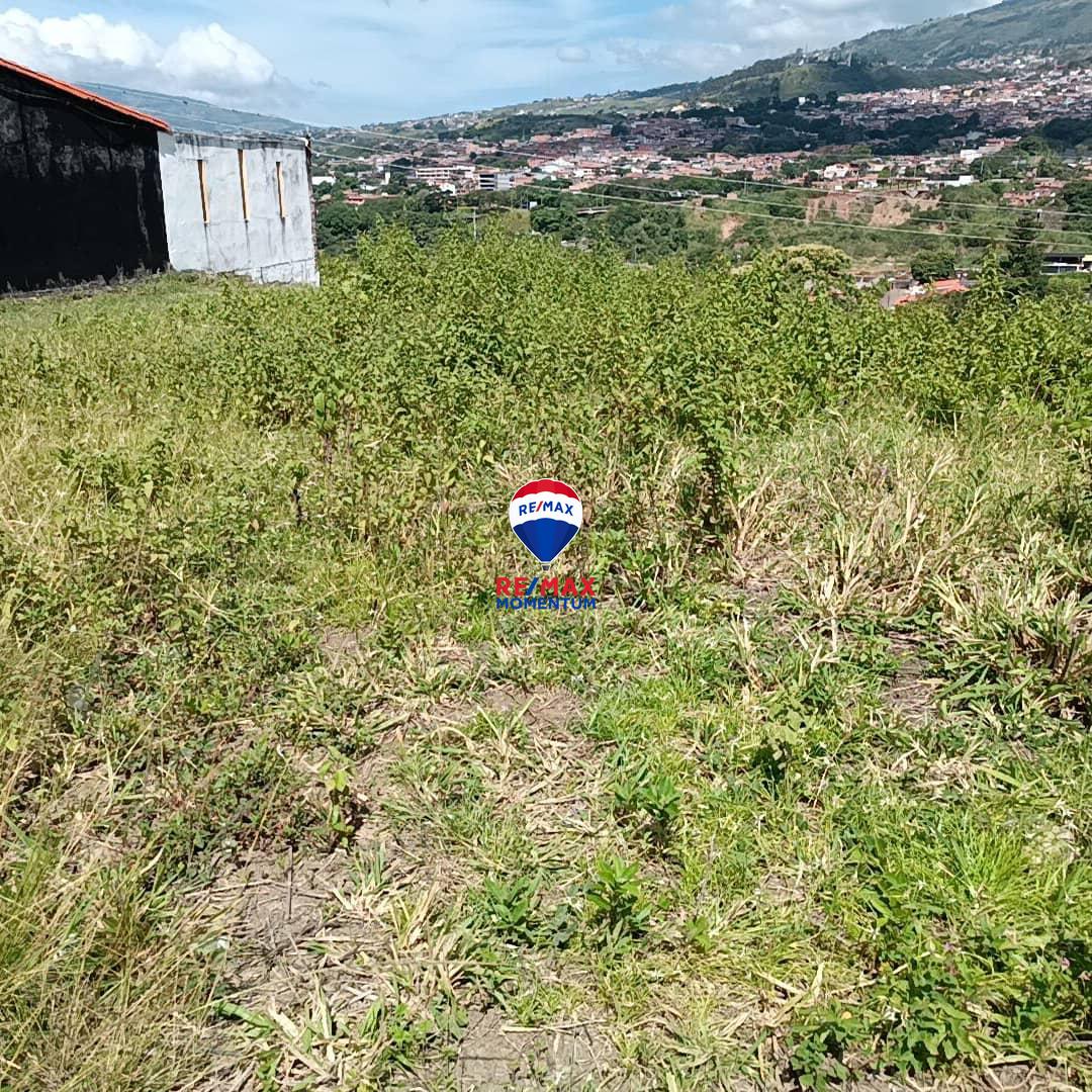 Terreno en venta · Cárdenas, Táchira — foto 5 de 9