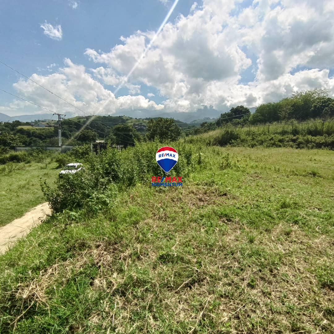 Terreno en venta · Cárdenas, Táchira — foto 6 de 9