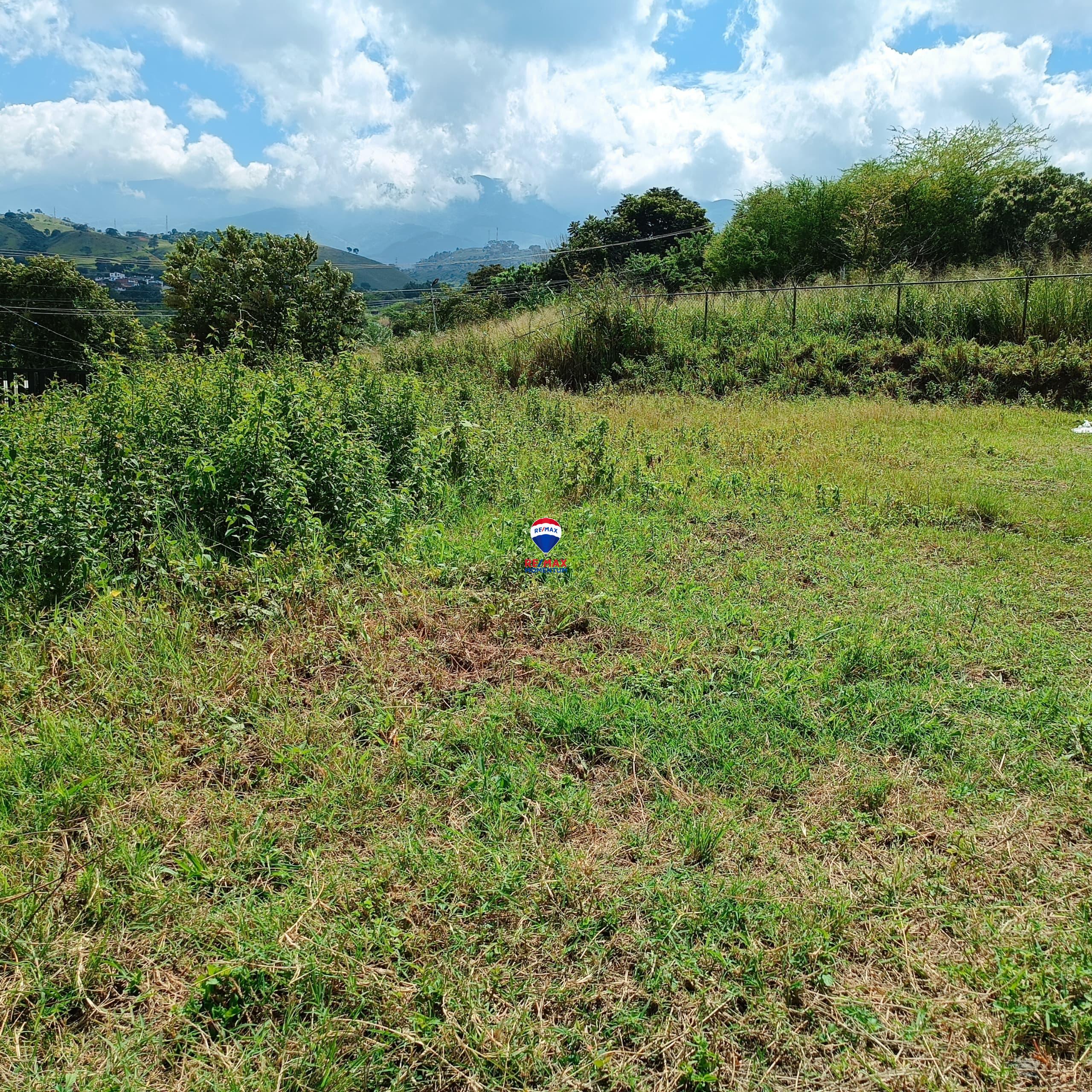 Terreno en venta · Cárdenas, Táchira — foto 7 de 9
