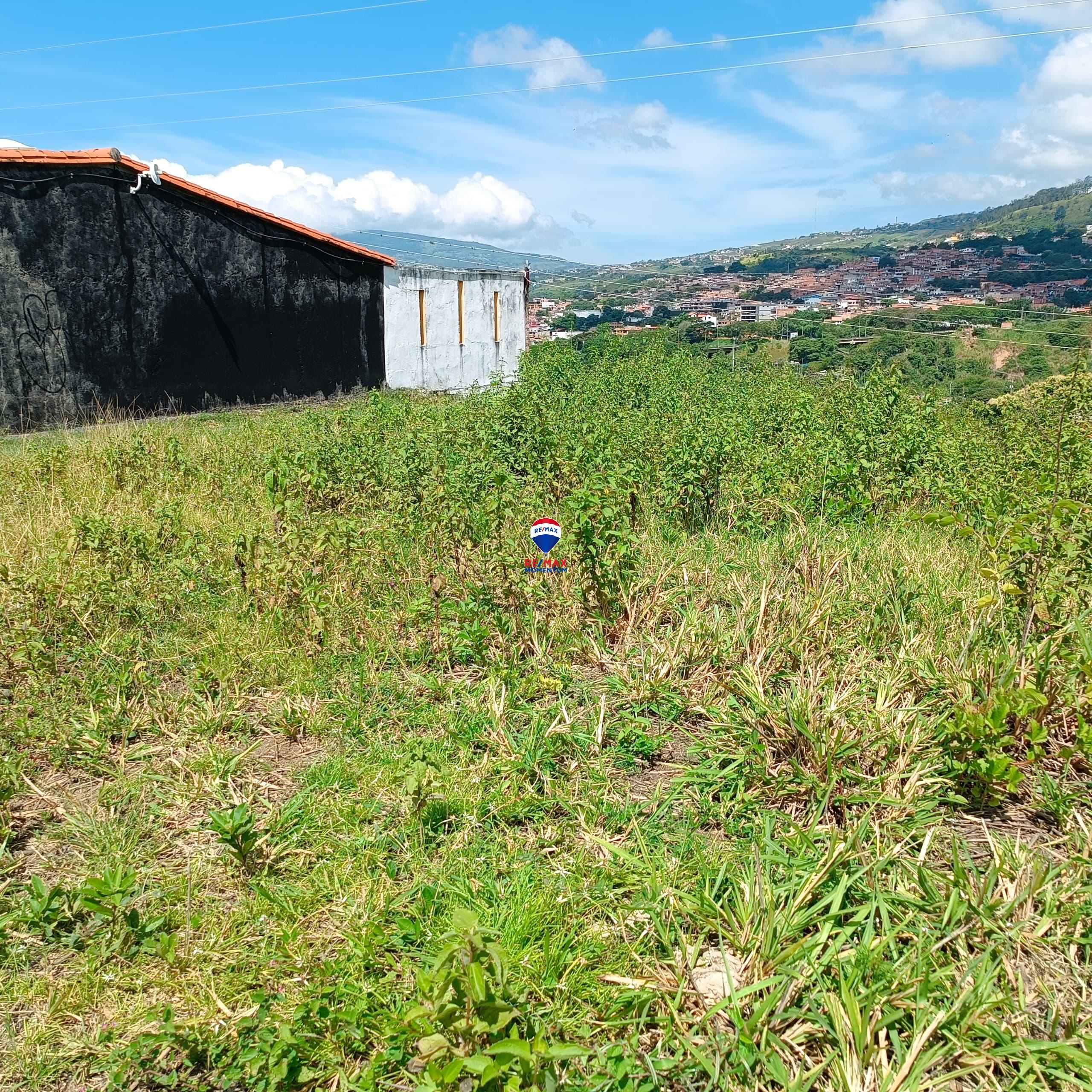 Terreno en venta · Cárdenas, Táchira — foto 8 de 9