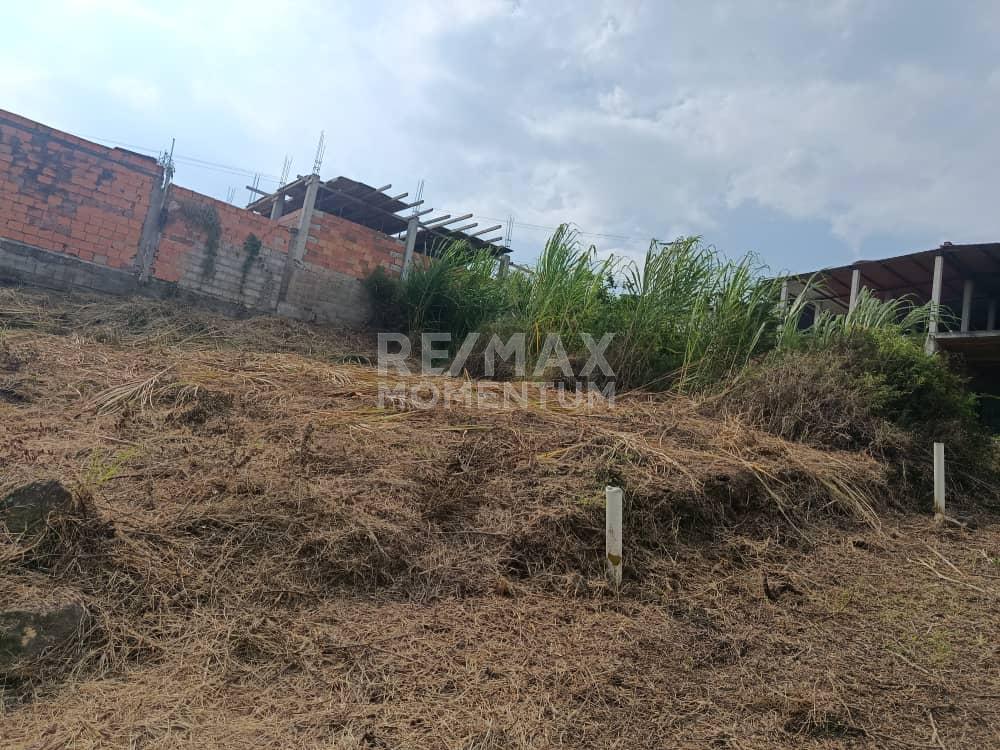 Terreno en venta · Cárdenas, Táchira — foto 3 de 4