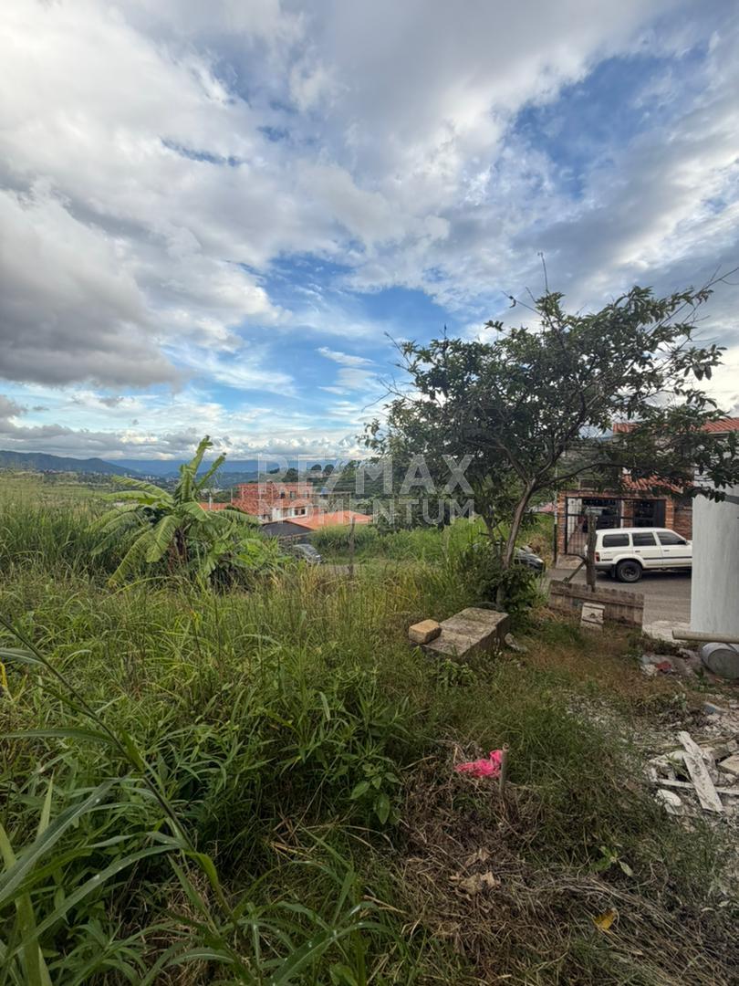 Terreno en venta · Cárdenas, Táchira — foto 2 de 8