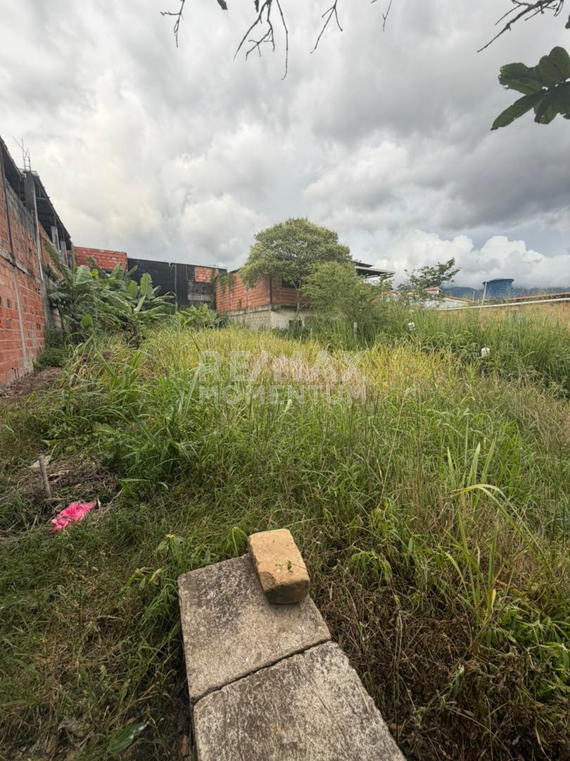 Terreno en venta · Cárdenas, Táchira — foto 3 de 8