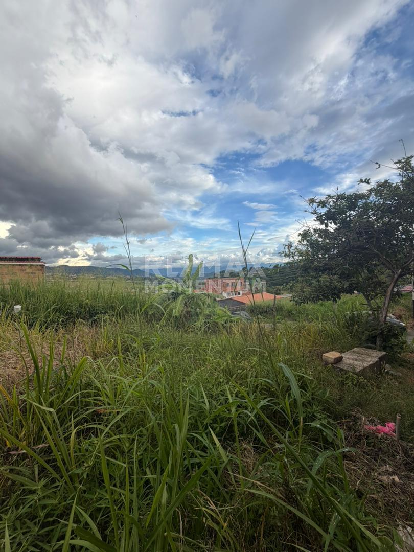 Terreno en venta · Cárdenas, Táchira — foto 4 de 8