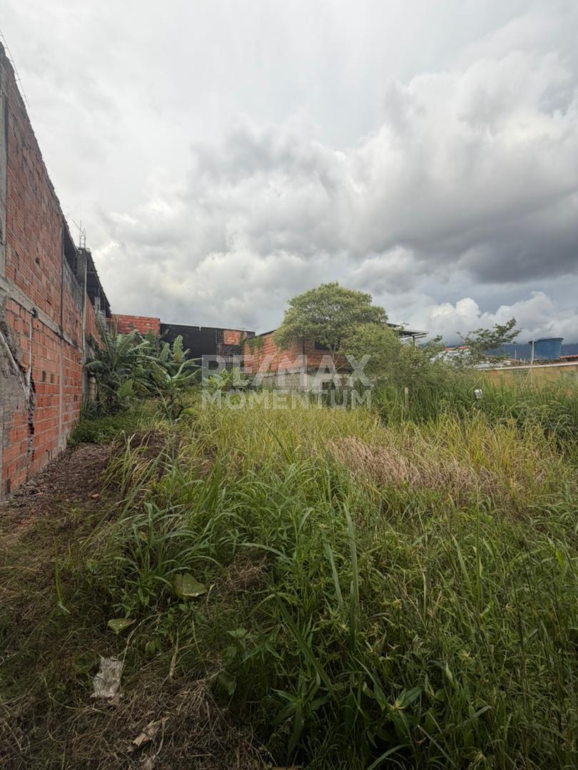 Terreno en venta · Cárdenas, Táchira — foto 5 de 8