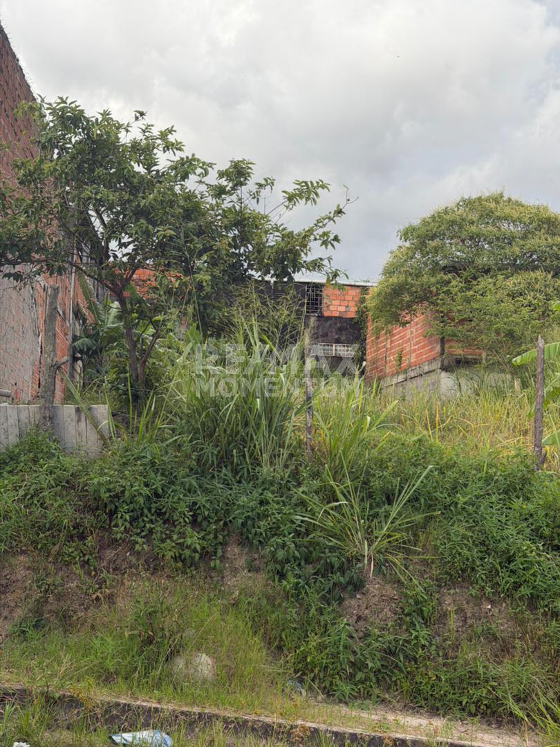 Terreno en venta · Cárdenas, Táchira — foto 7 de 8