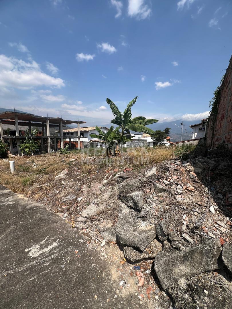 Terreno en venta · Cárdenas, Táchira — foto 5 de 8