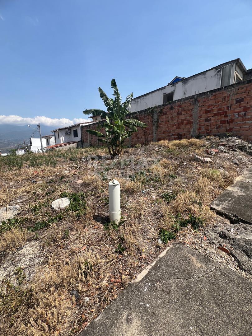 Terreno en venta · Cárdenas, Táchira — foto 6 de 8